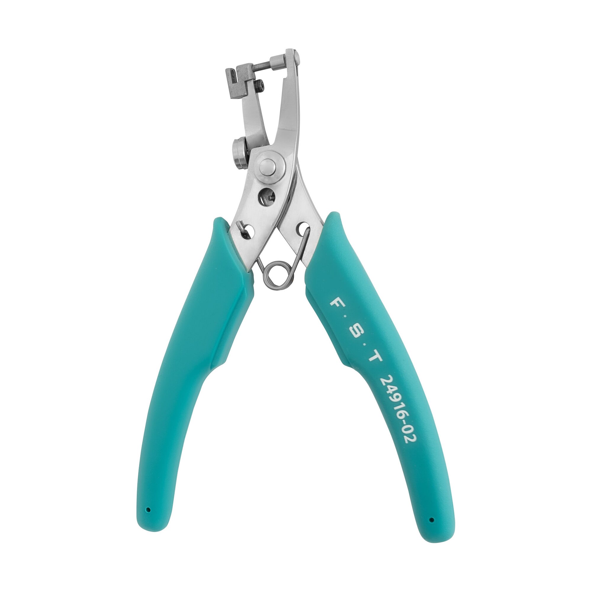 Blue Ear Punch | 24916-02