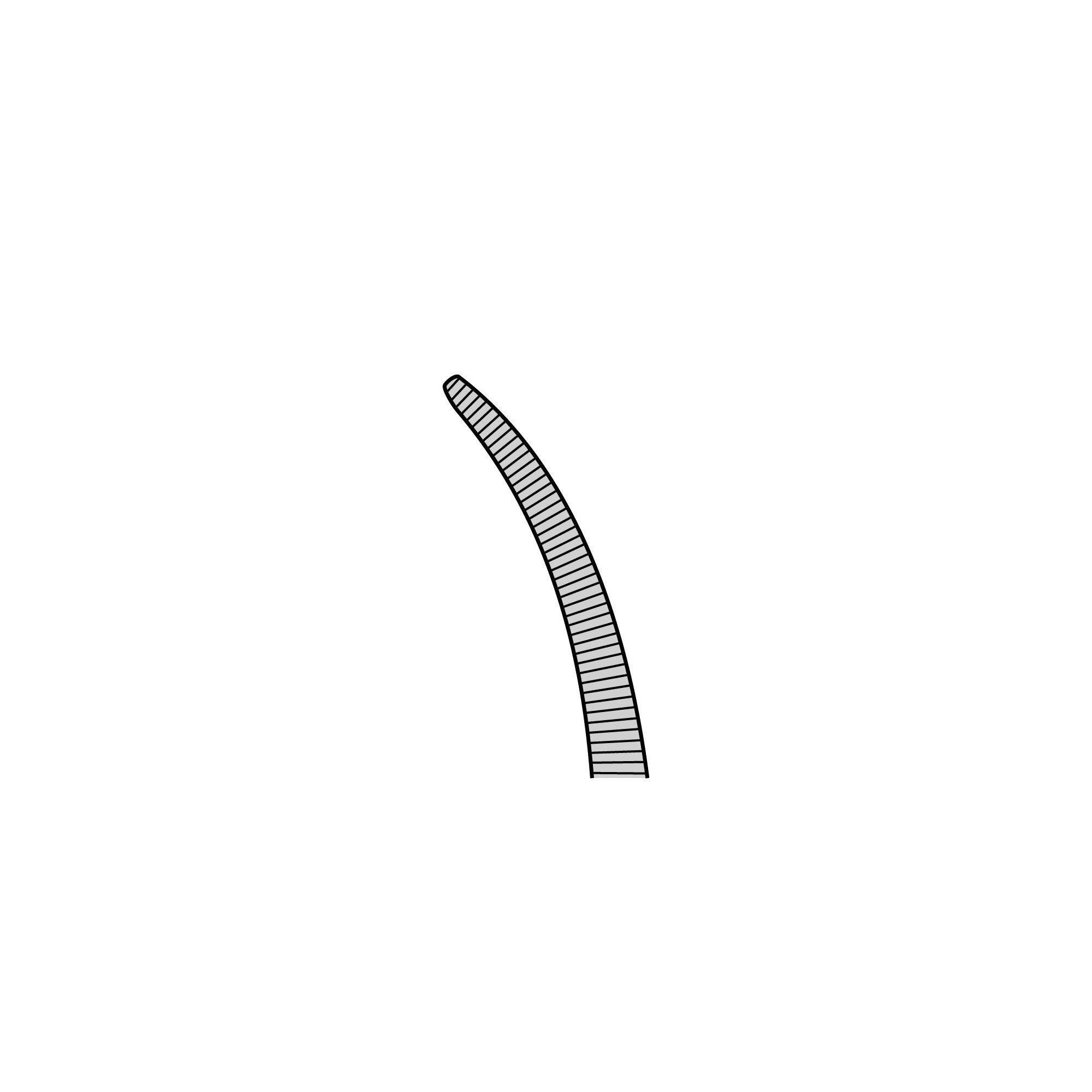 Student Rochester-Pean Hemostat | 91317-16
