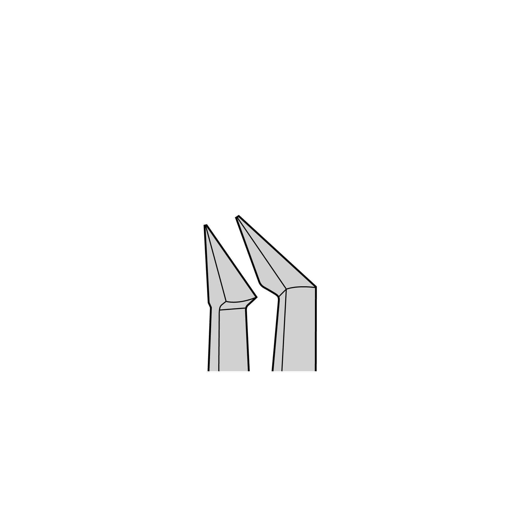 Plastic Forceps | 11700-02