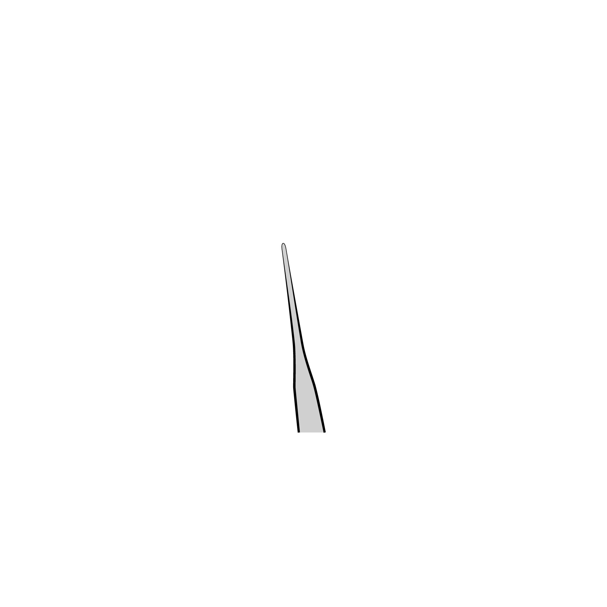 Vessel Dilating Forceps | 18131-12