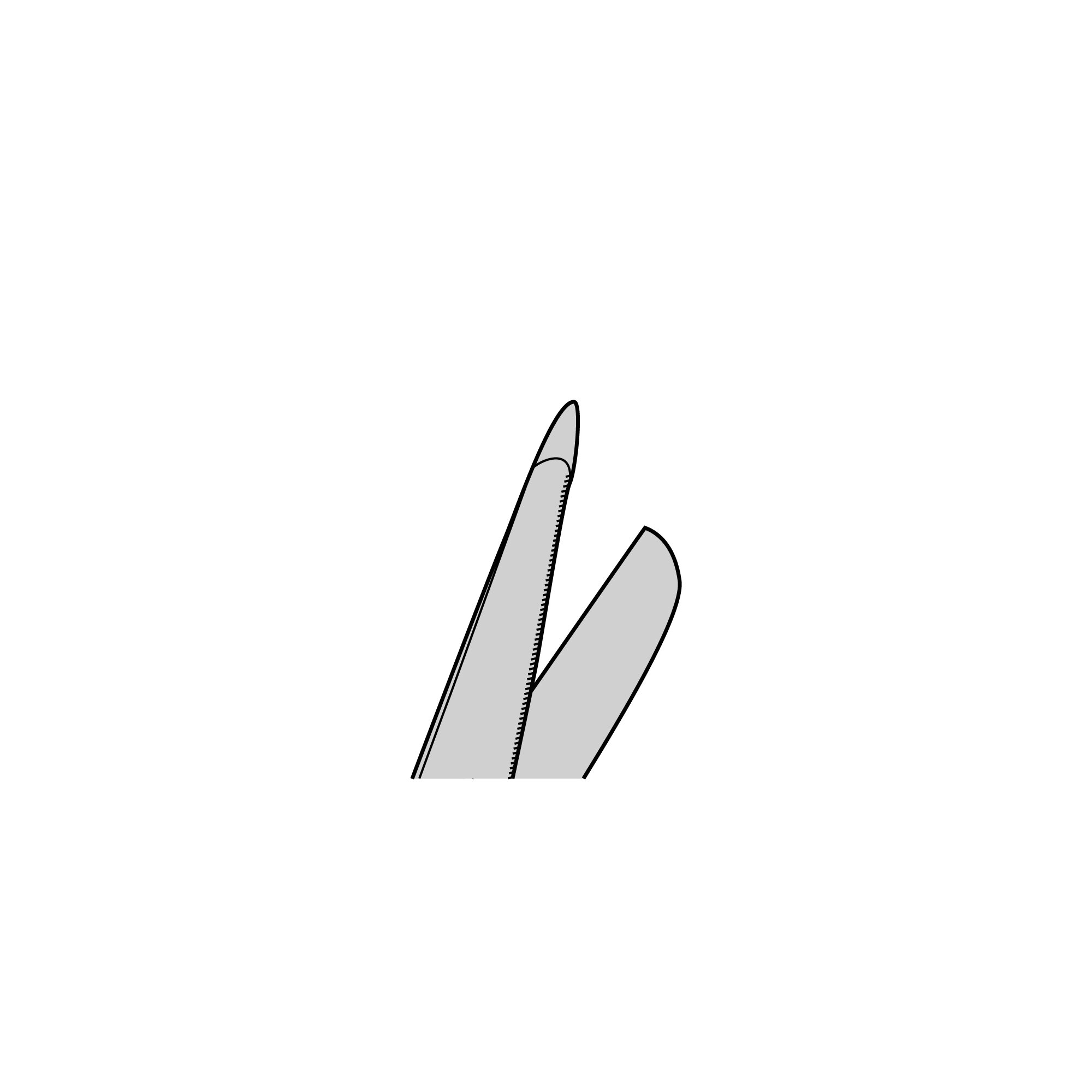 Lister Scissors - ToughCut® | 14131-14