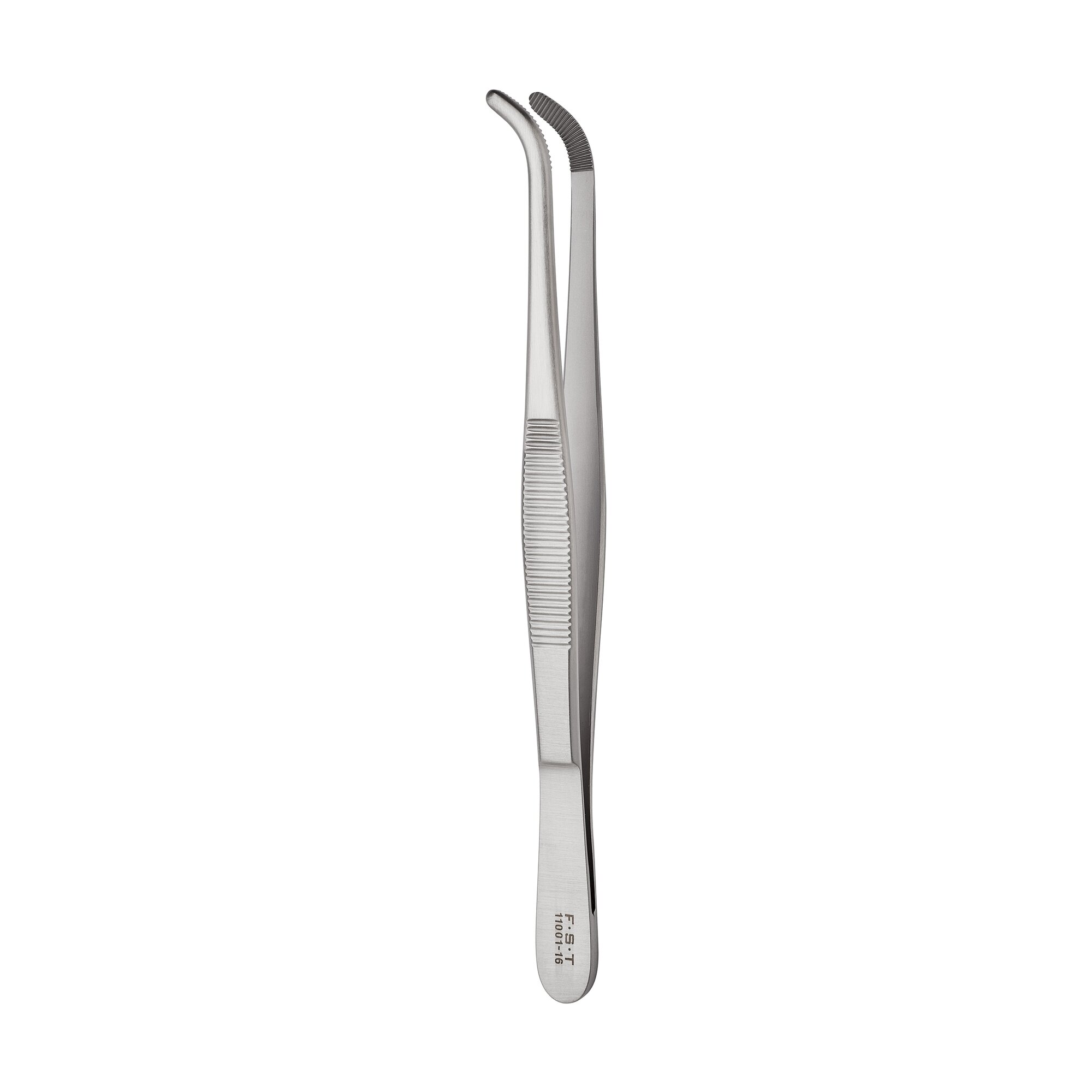 Anatomical Standard Forceps - Curved | 11001-16