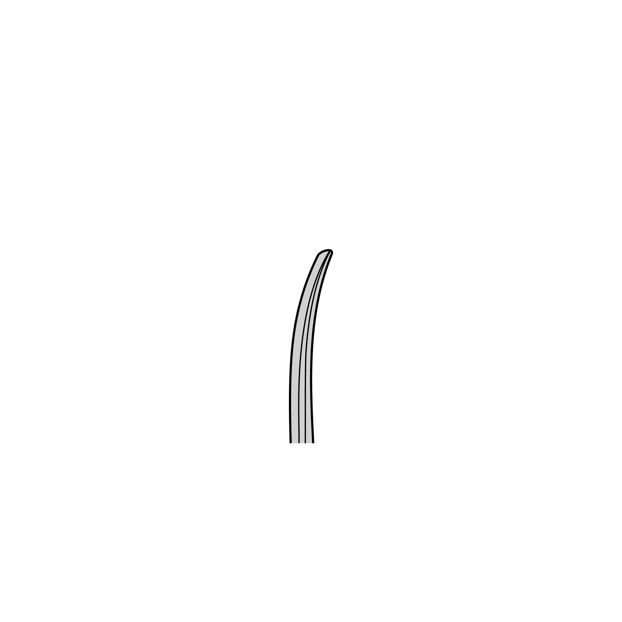 Standard Surgical Scissors - Sharp/Blunt | 14004-12