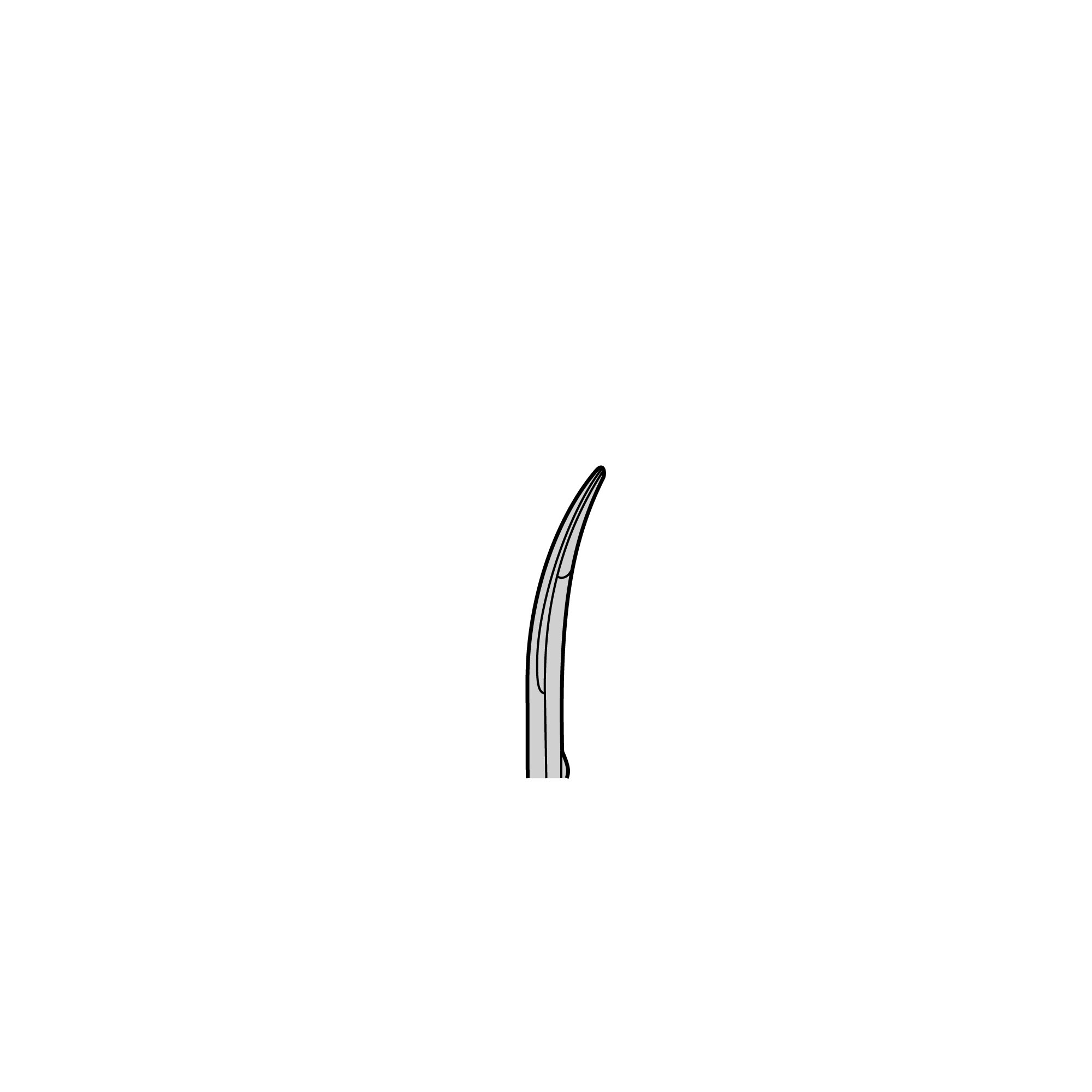 Stevens Scissors | 14067-11