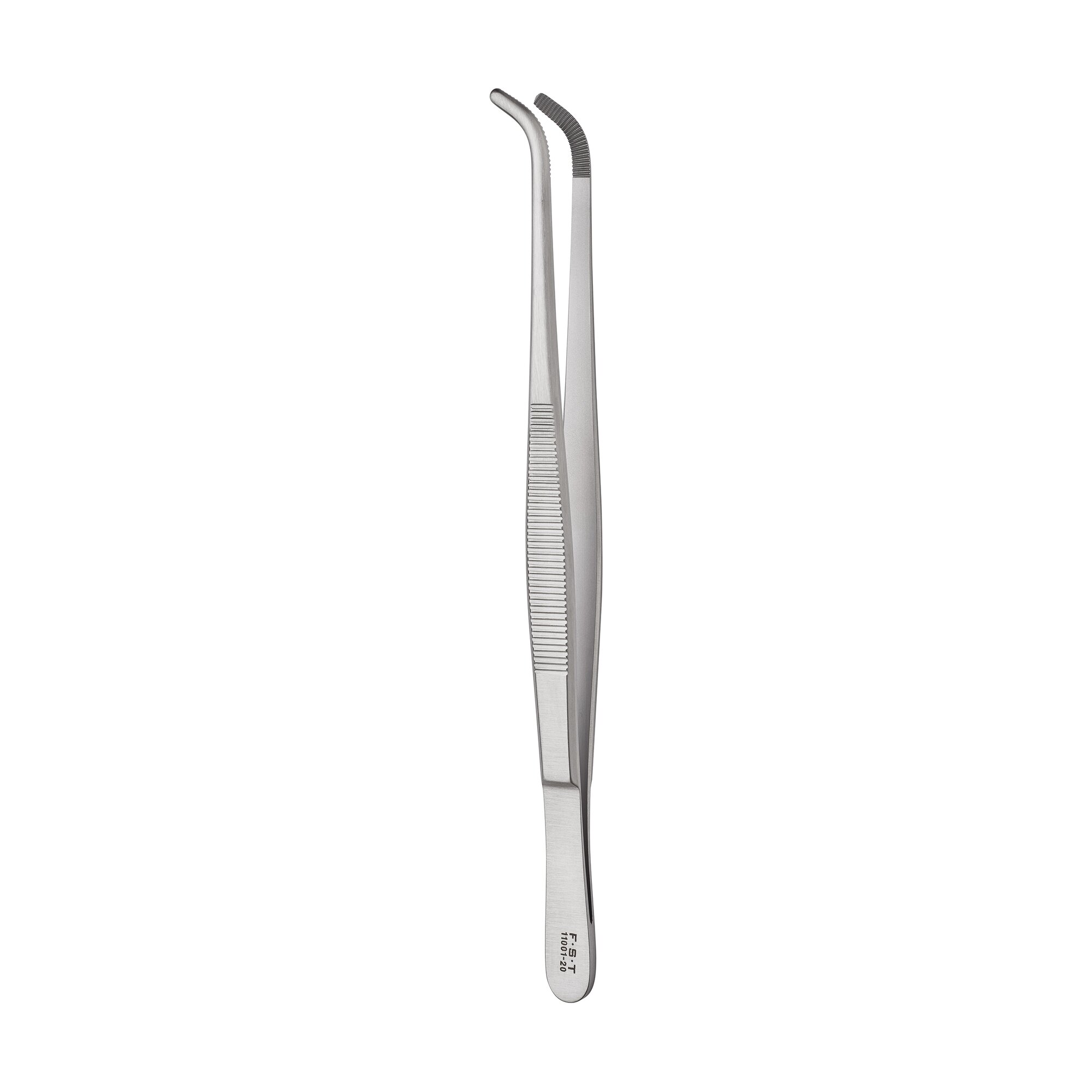Anatomical Standard Forceps - Curved | 11001-20