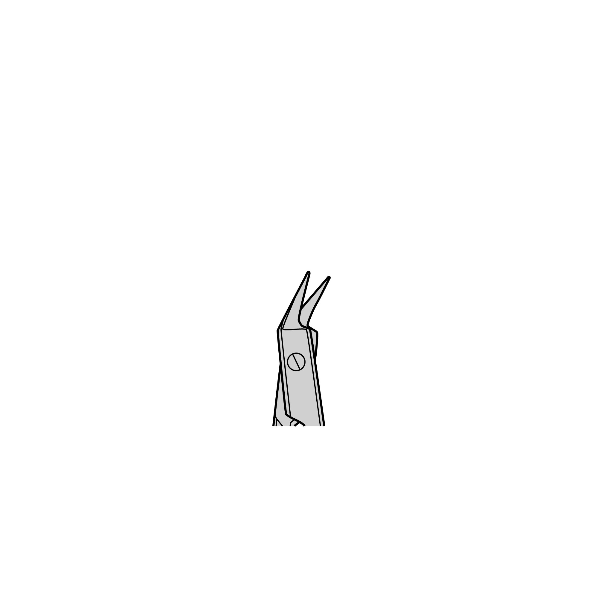 Dissecting Scissors - Fine | 14081-09