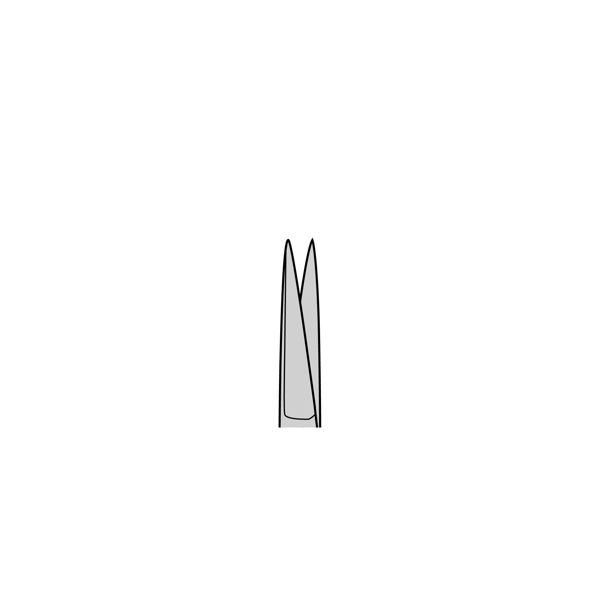 Student Wagner Scissors | 91468-12
