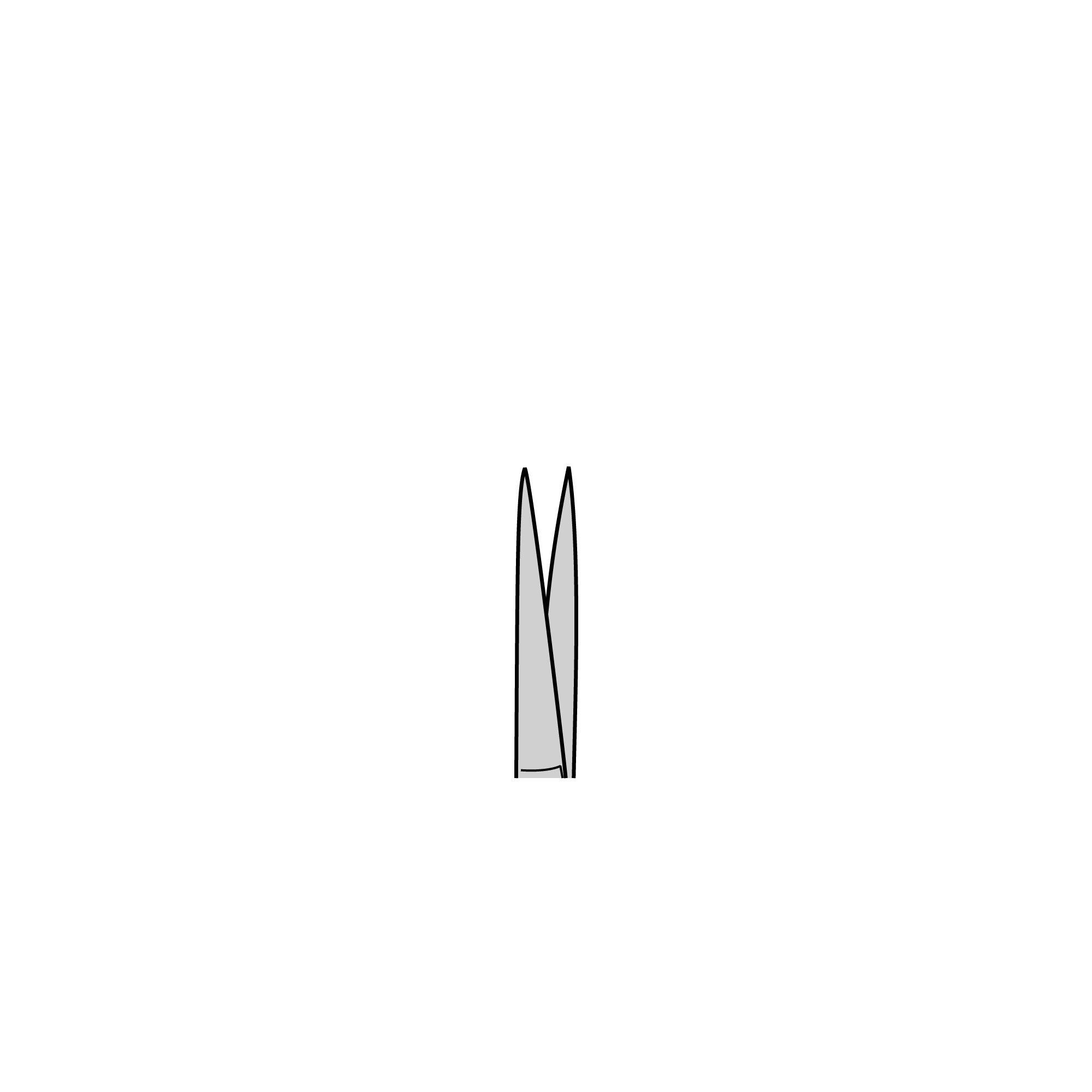 Iris Scissors - Partly Polished | 14090-11