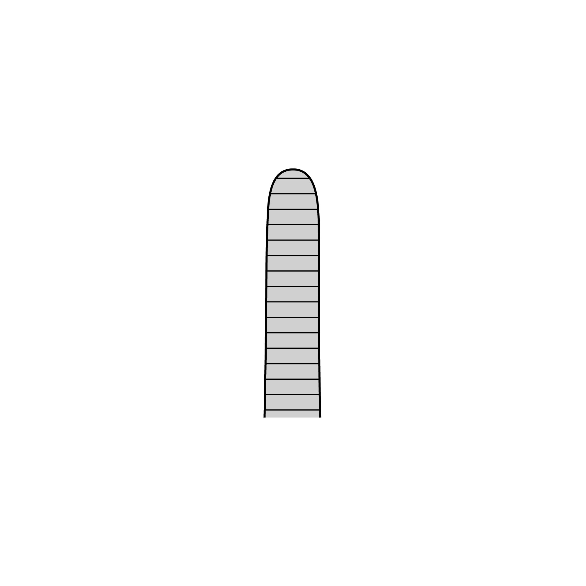 Anatomical Narrow Forceps - Straight | 11002-25