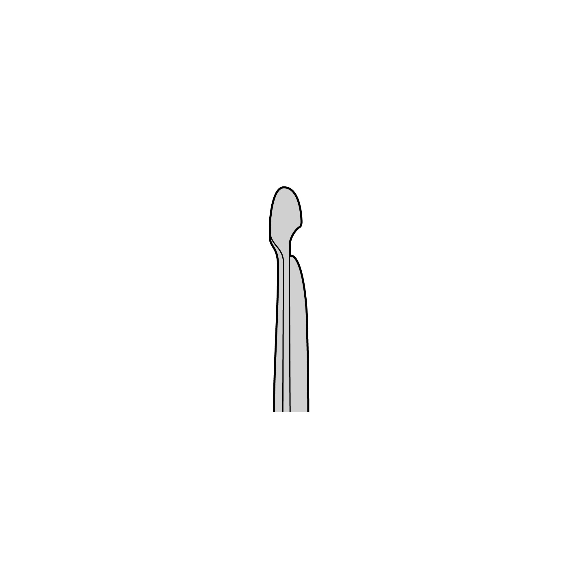 Student Lister Scissors | 91413-18