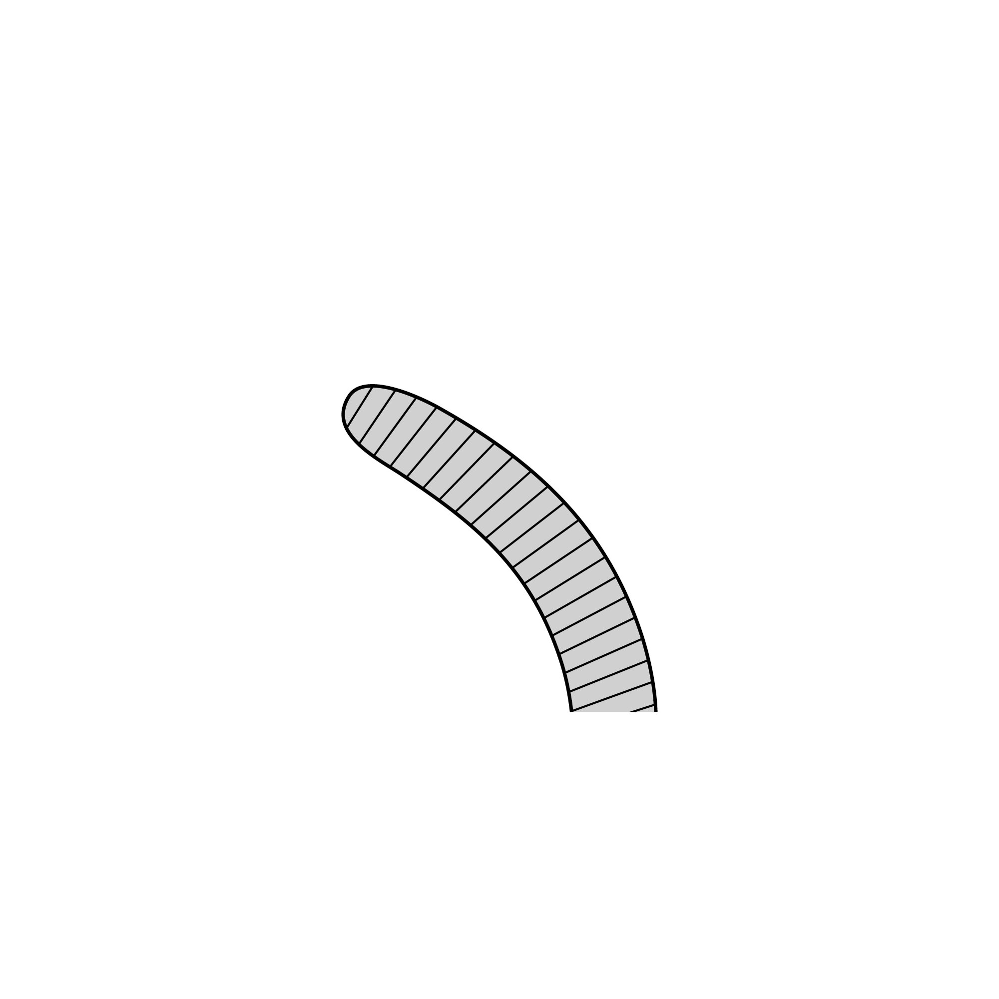 Anatomical Standard Forceps - Curved | 11001-13