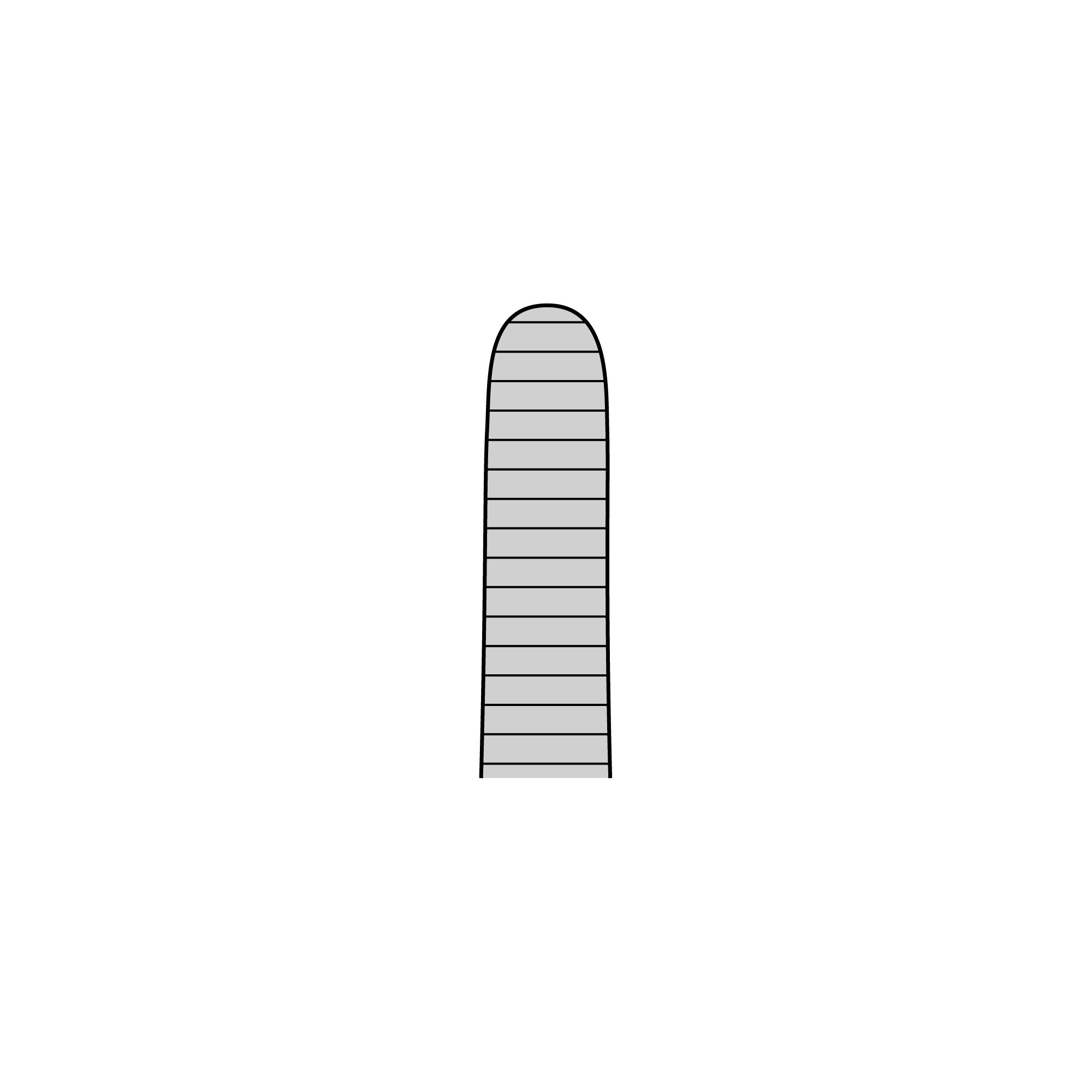 Anatomical Standard Forceps - Straight | 11000-30