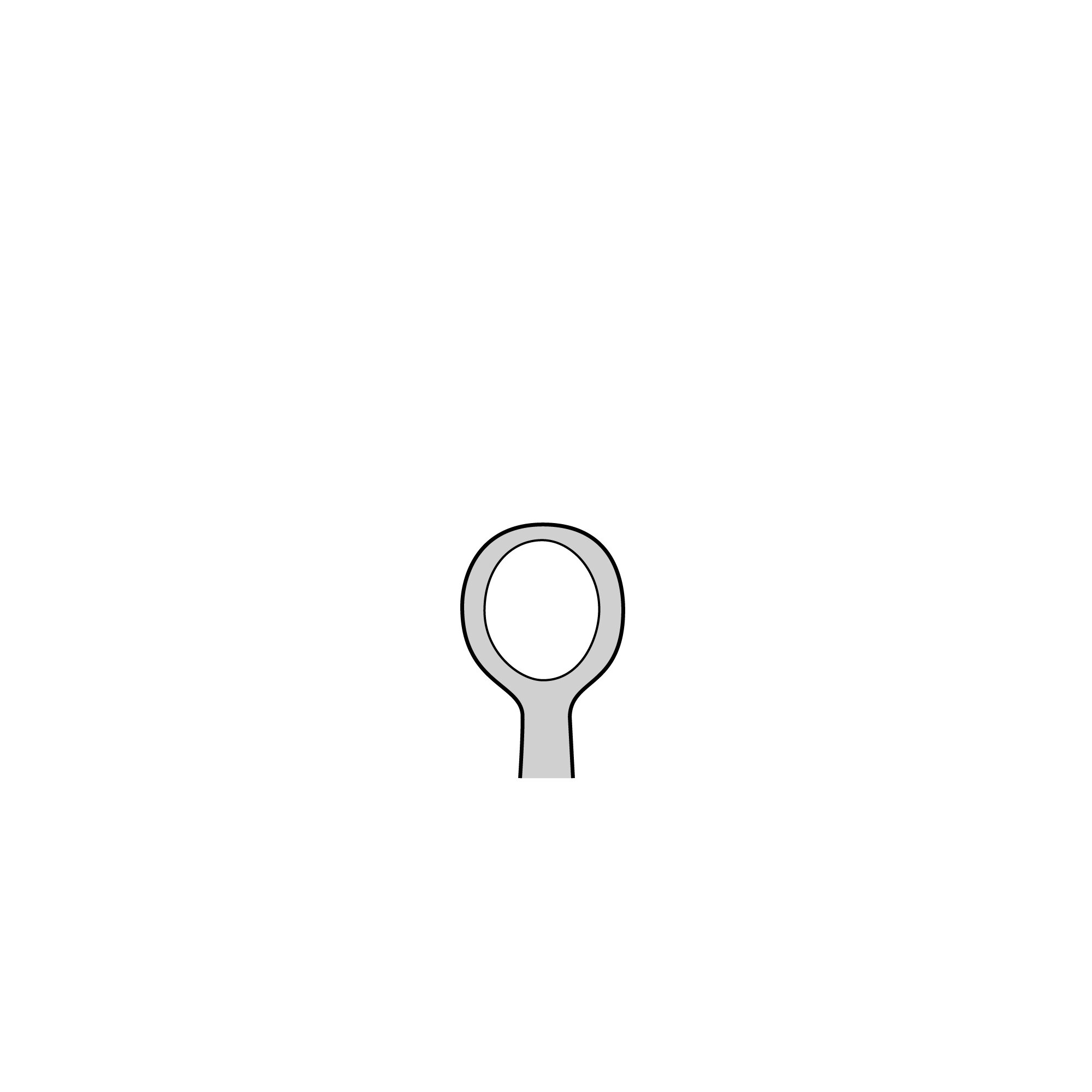 Ring Forceps | 11106-09