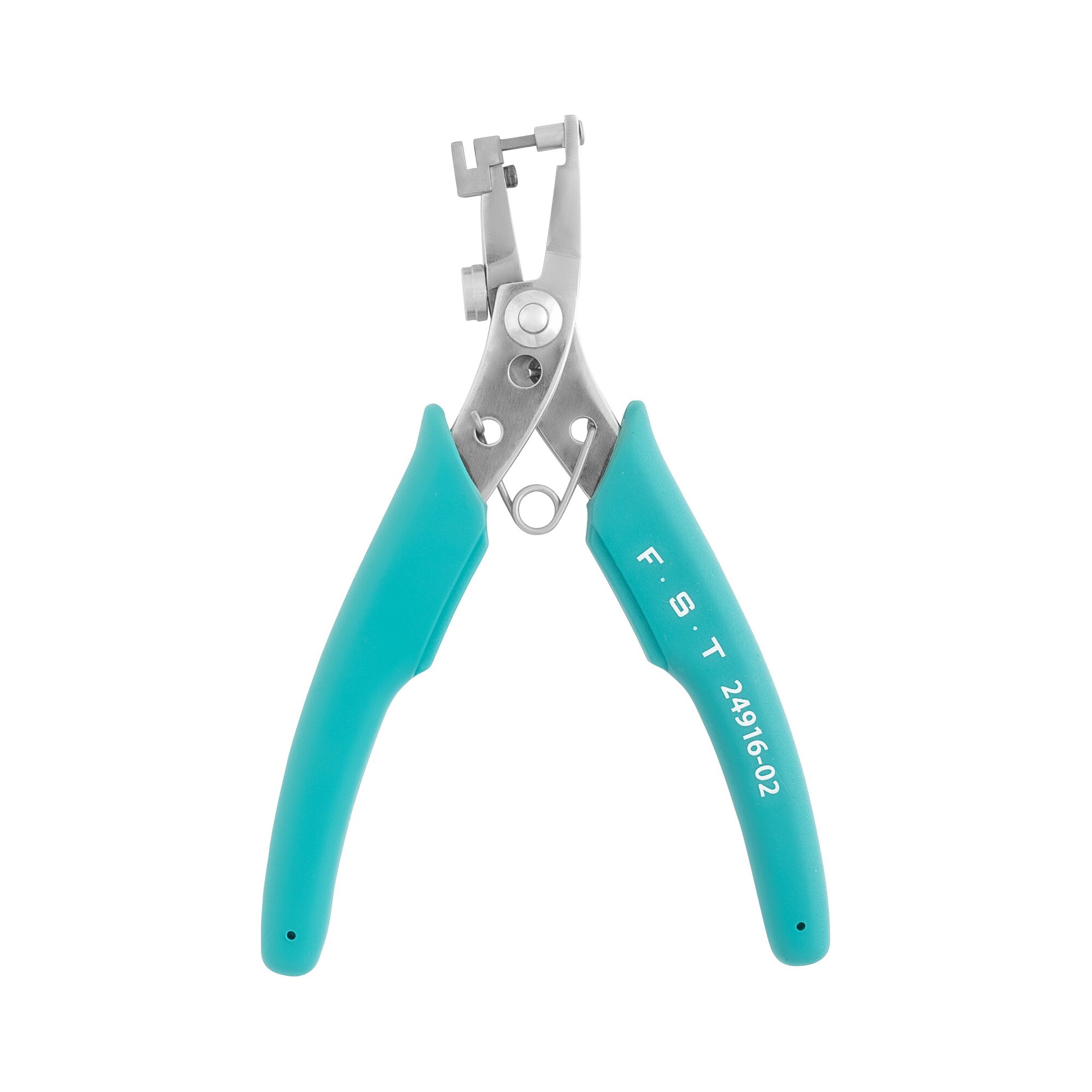 Blue Ear Punch | 24916-02