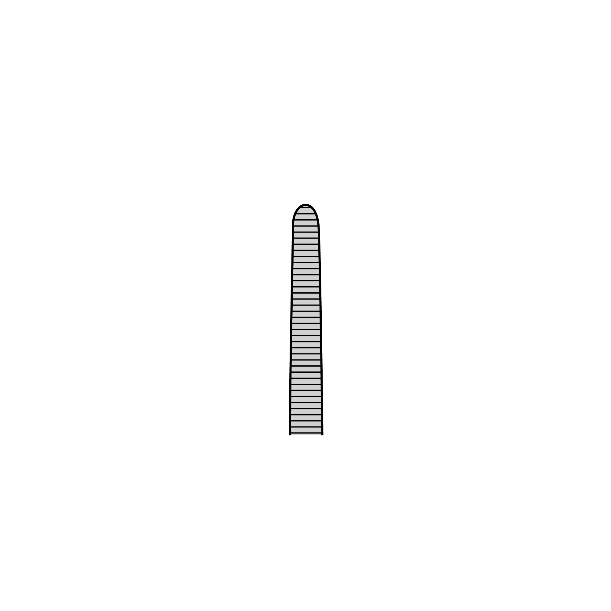 Taylor Forceps | 11010-17