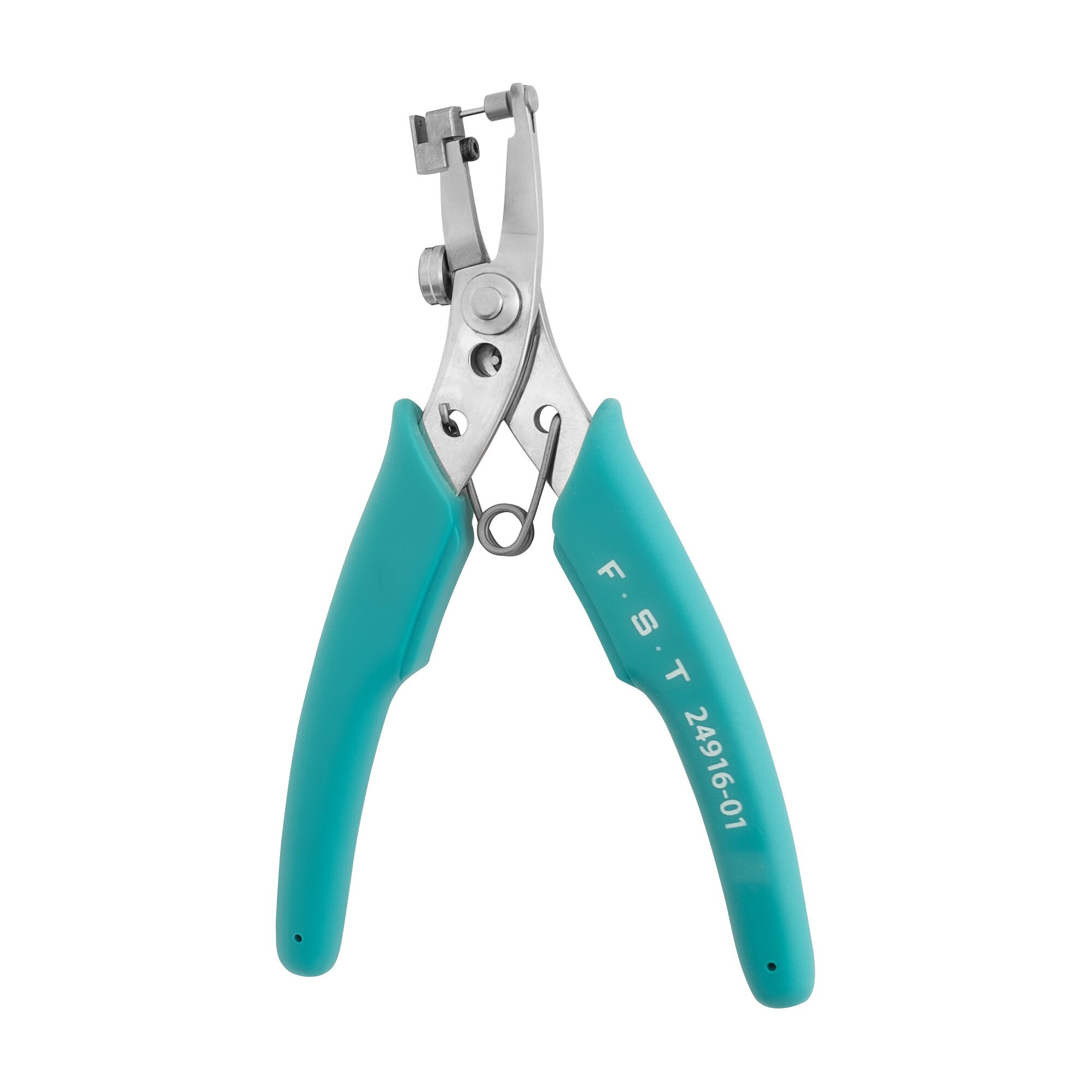 Blue Ear Punch | 24916-01-container