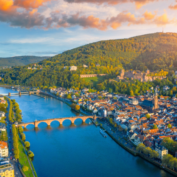 1993 - FST opens a busin...