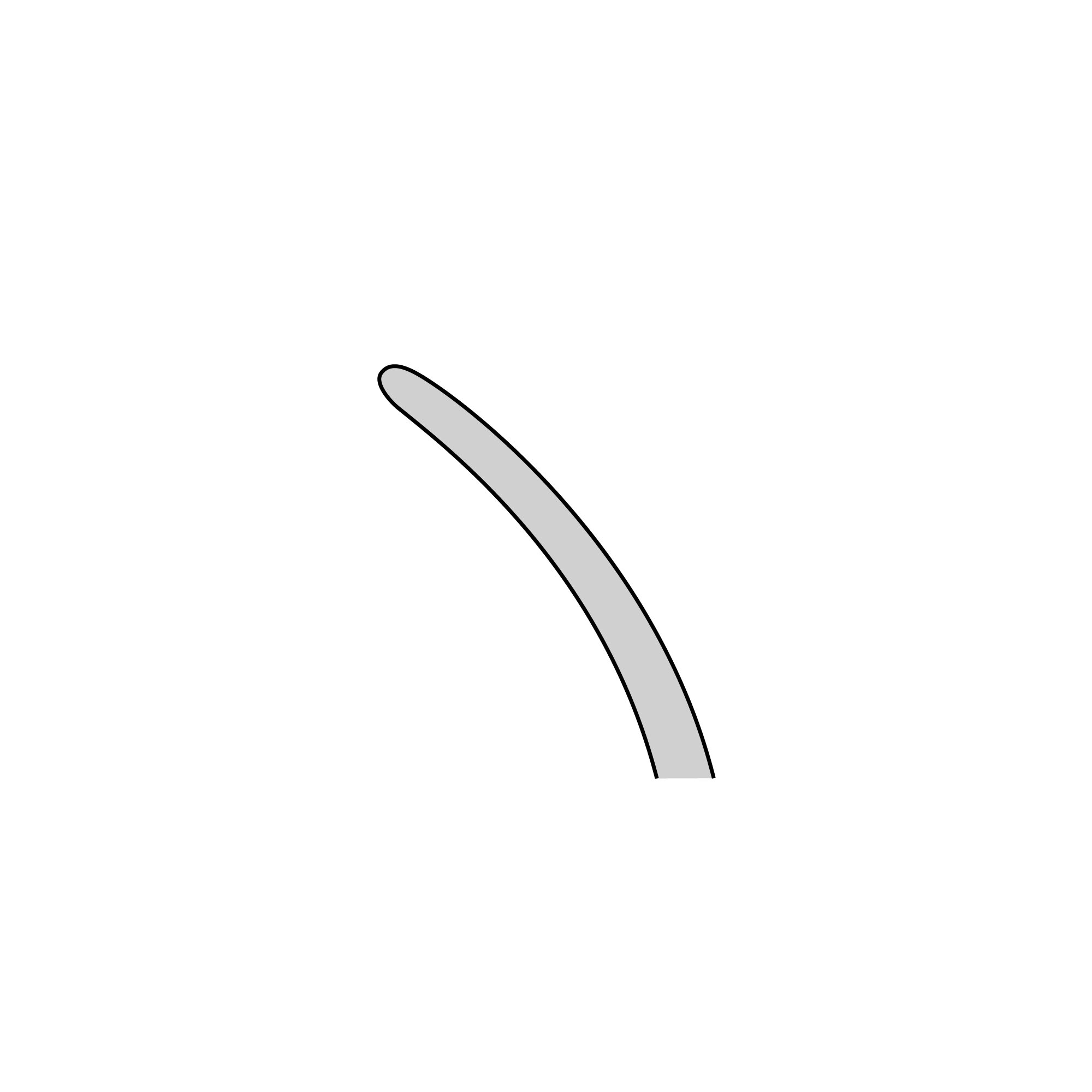Taylor Forceps | 11017-17