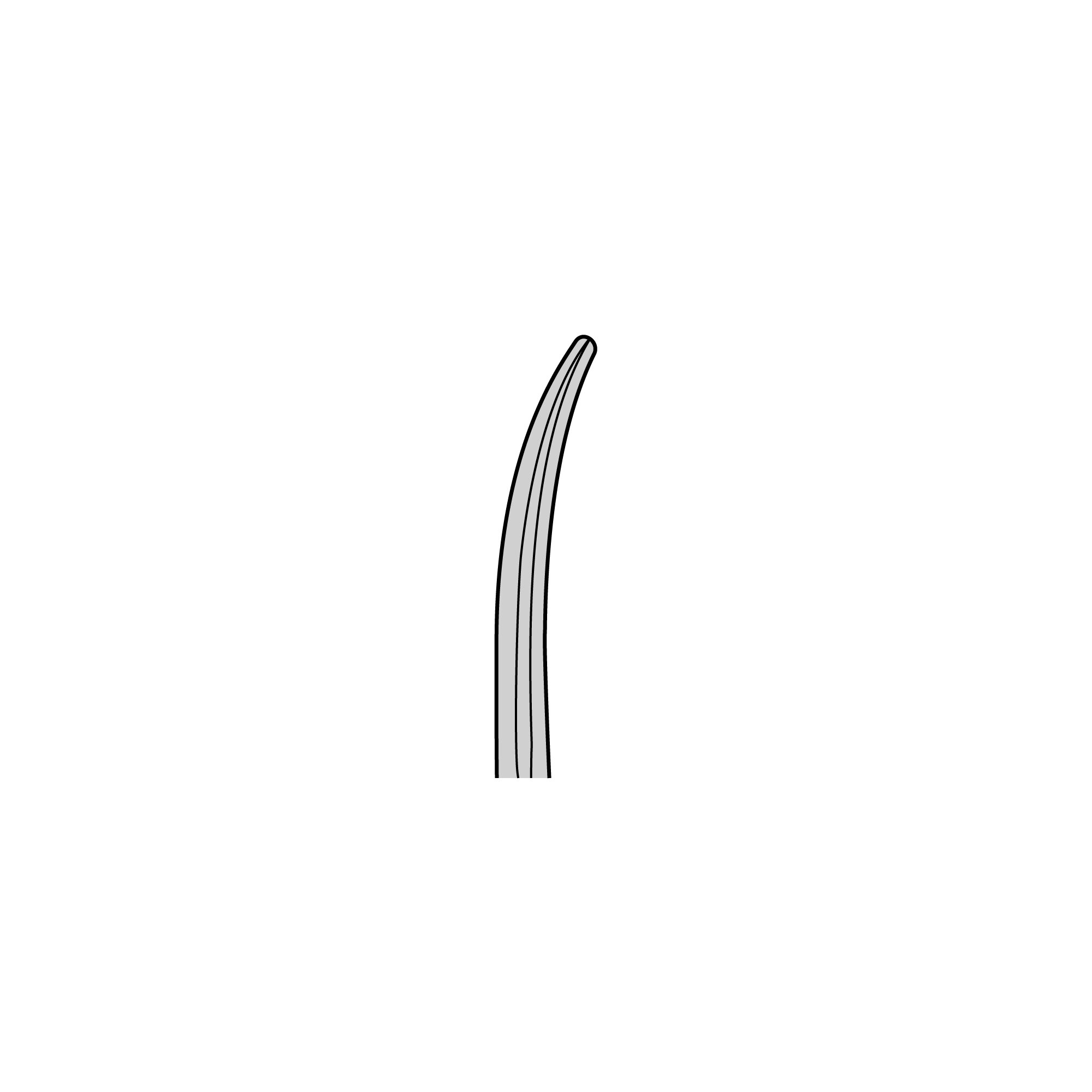 Standard Surgical Scissors - Blunt/Blunt | 14003-20