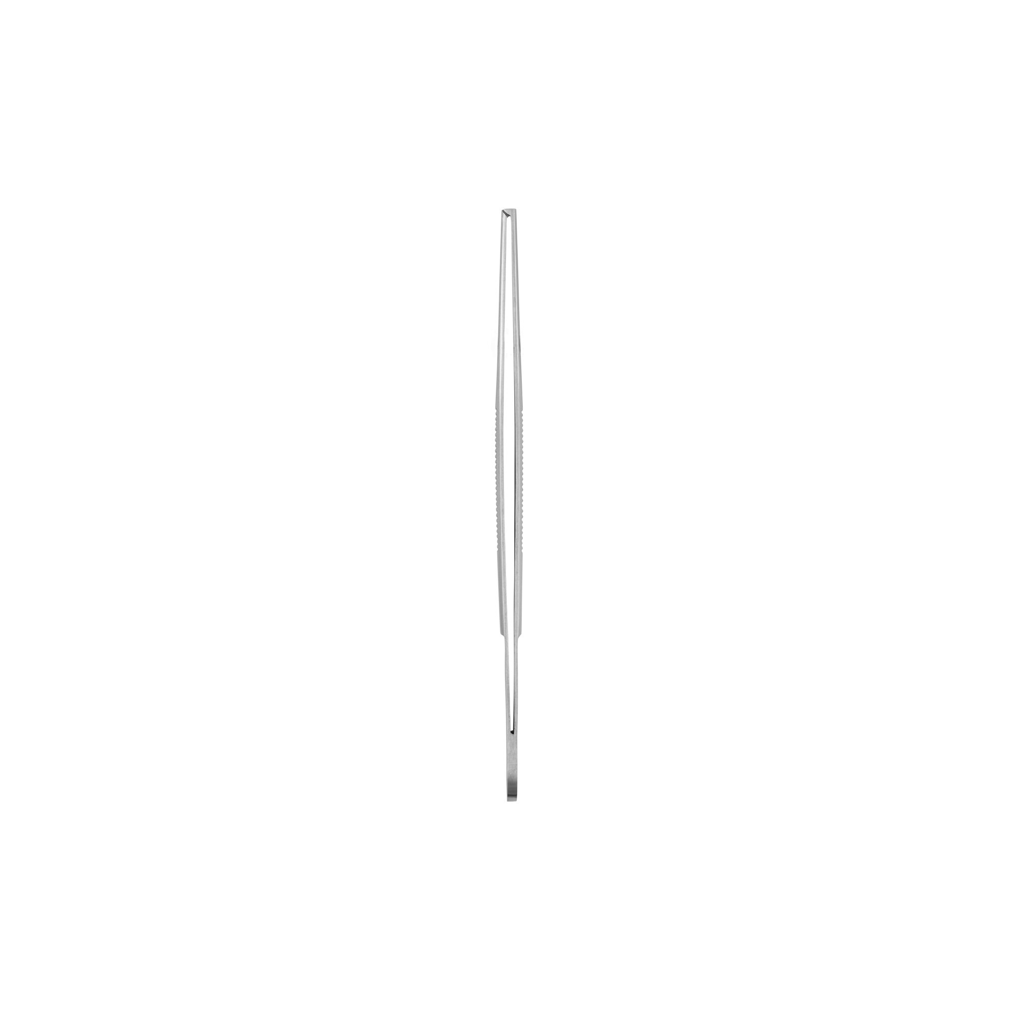 Student Surgical Standard Forceps | 91121-14