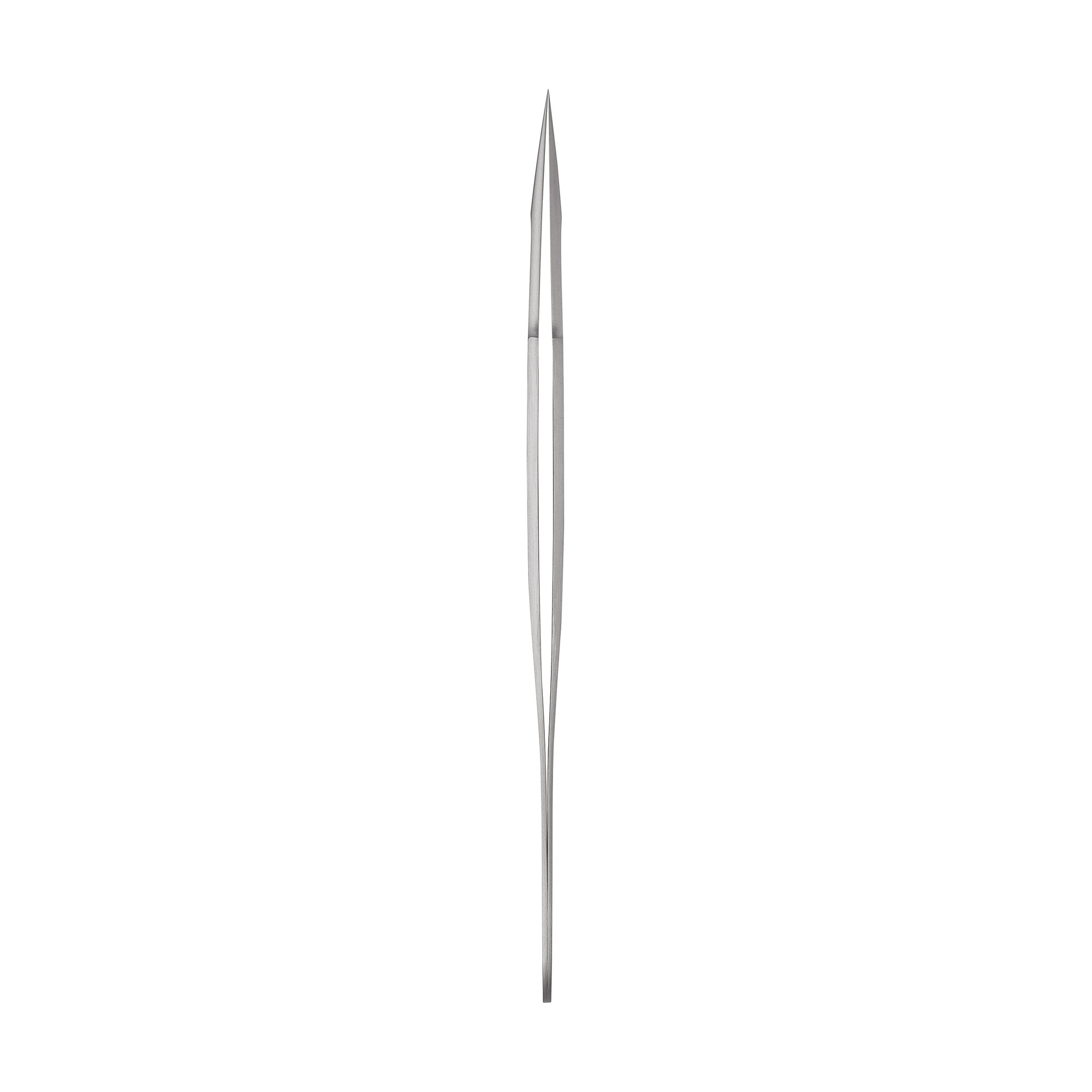 Dumont #55 Forceps | 11295-51