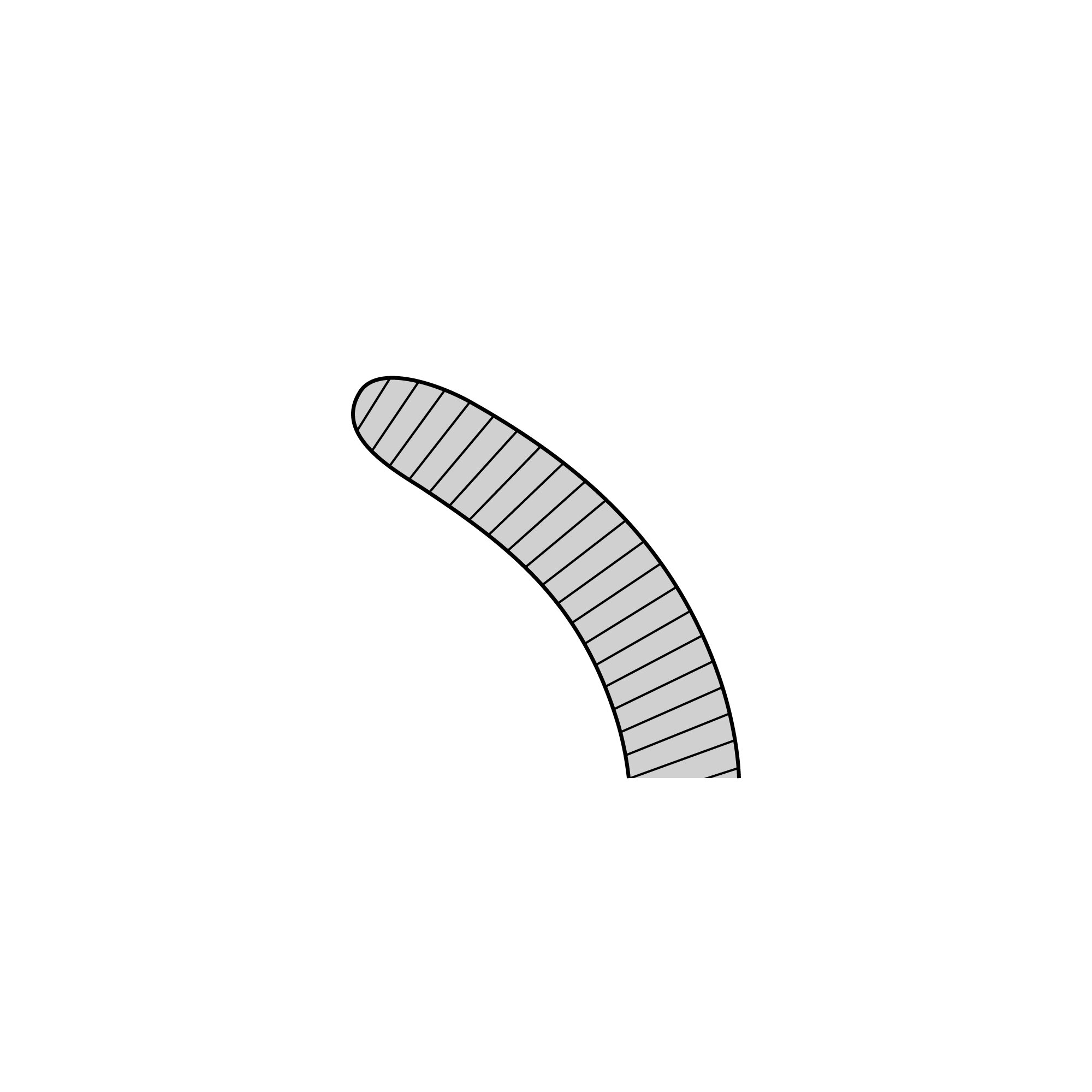 Anatomical Standard Forceps - Curved | 11001-16