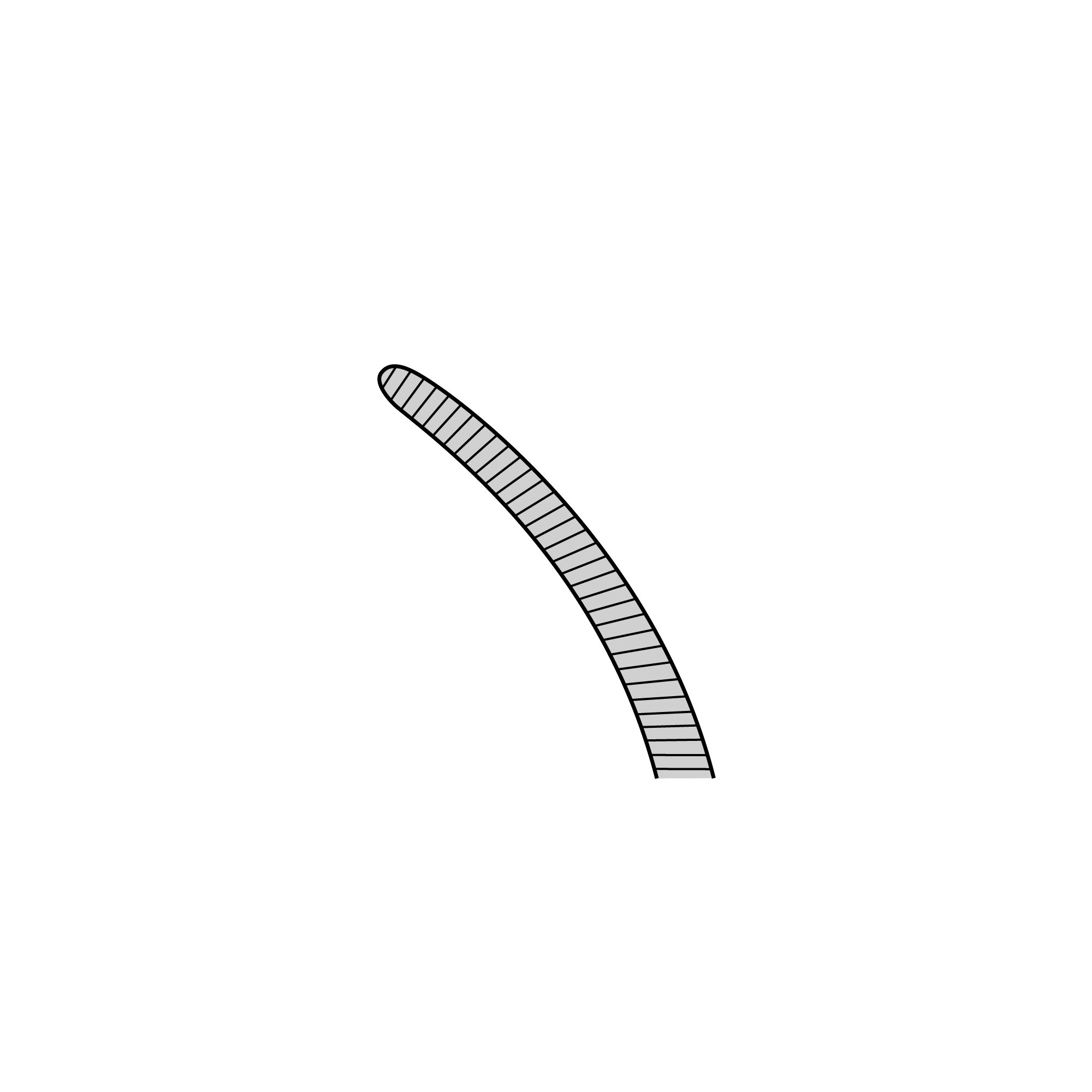 Taylor Forceps | 11011-17