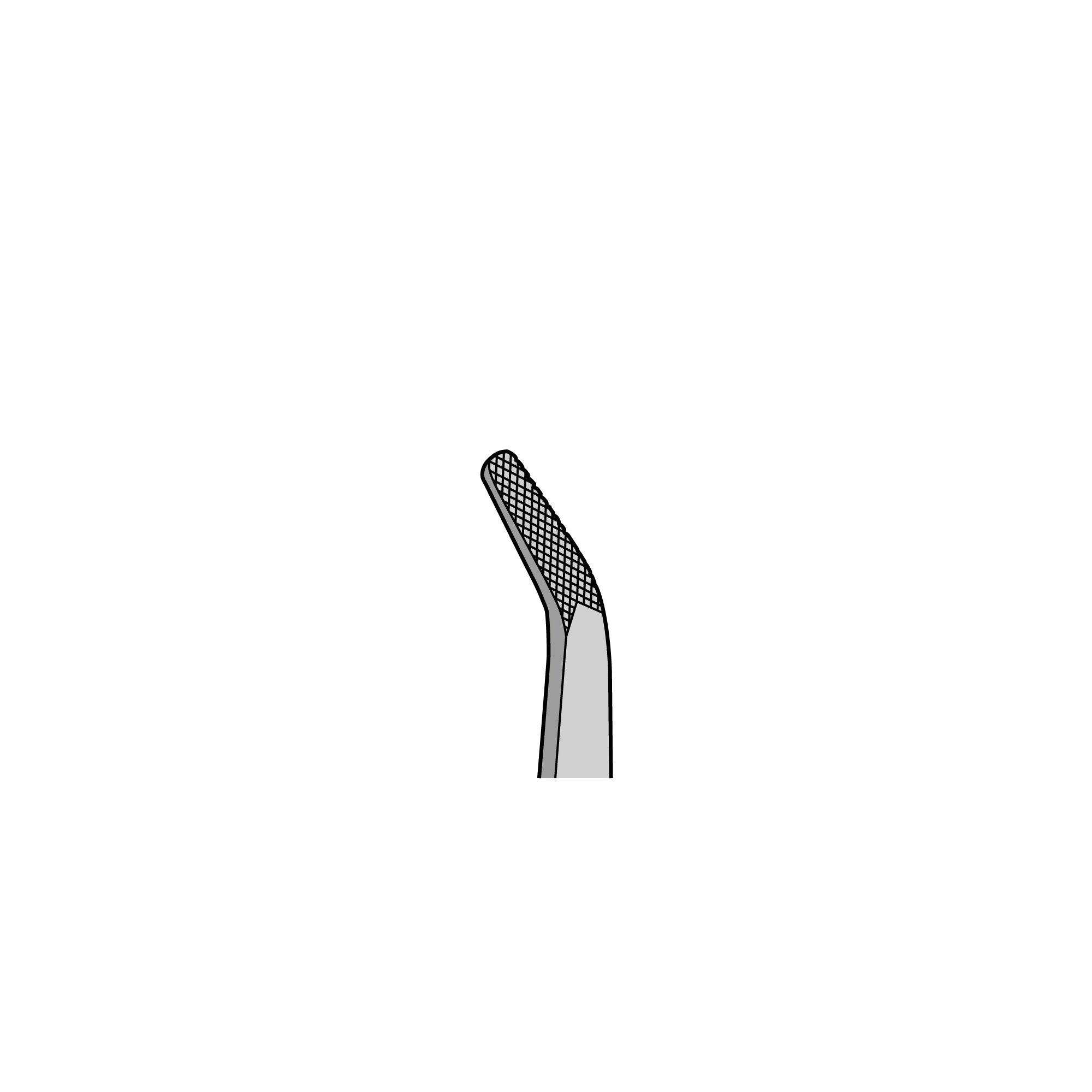 Heavy Operating Forceps | 16060-11