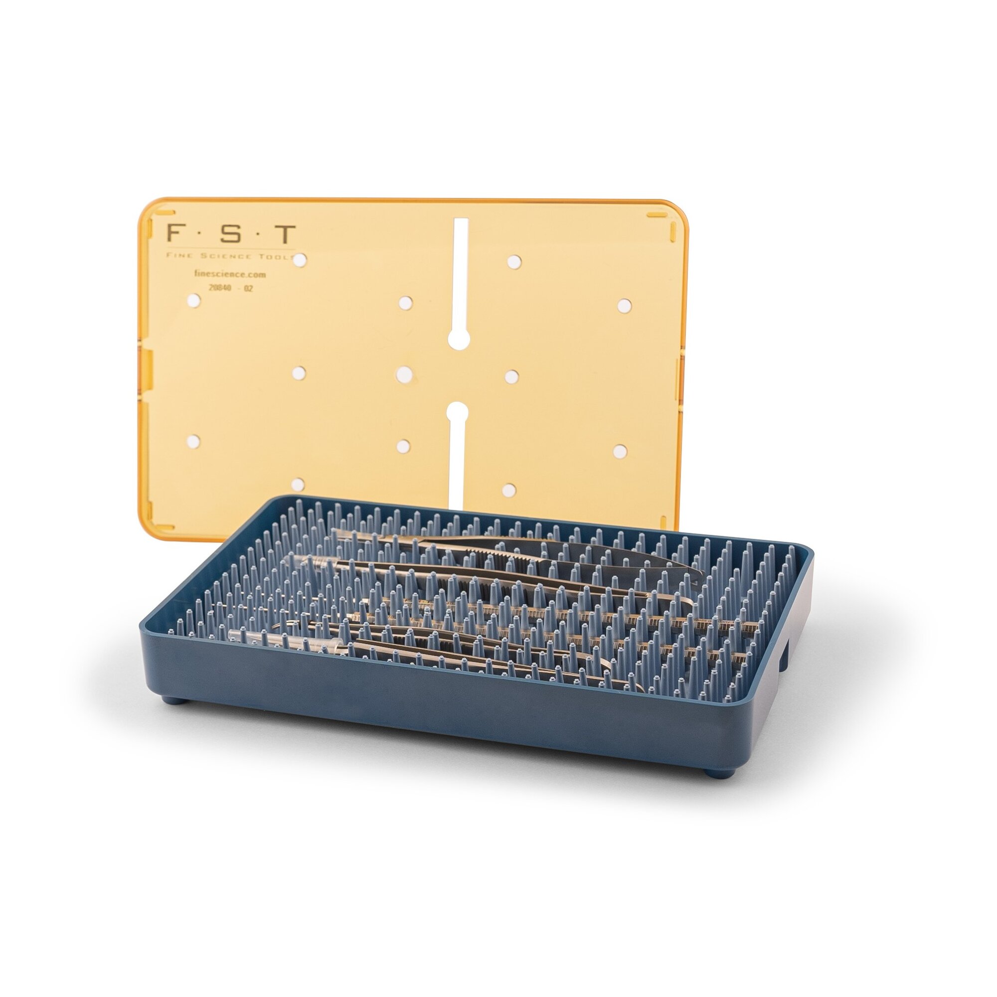 Professional Zebrafish Kit | 70004-01