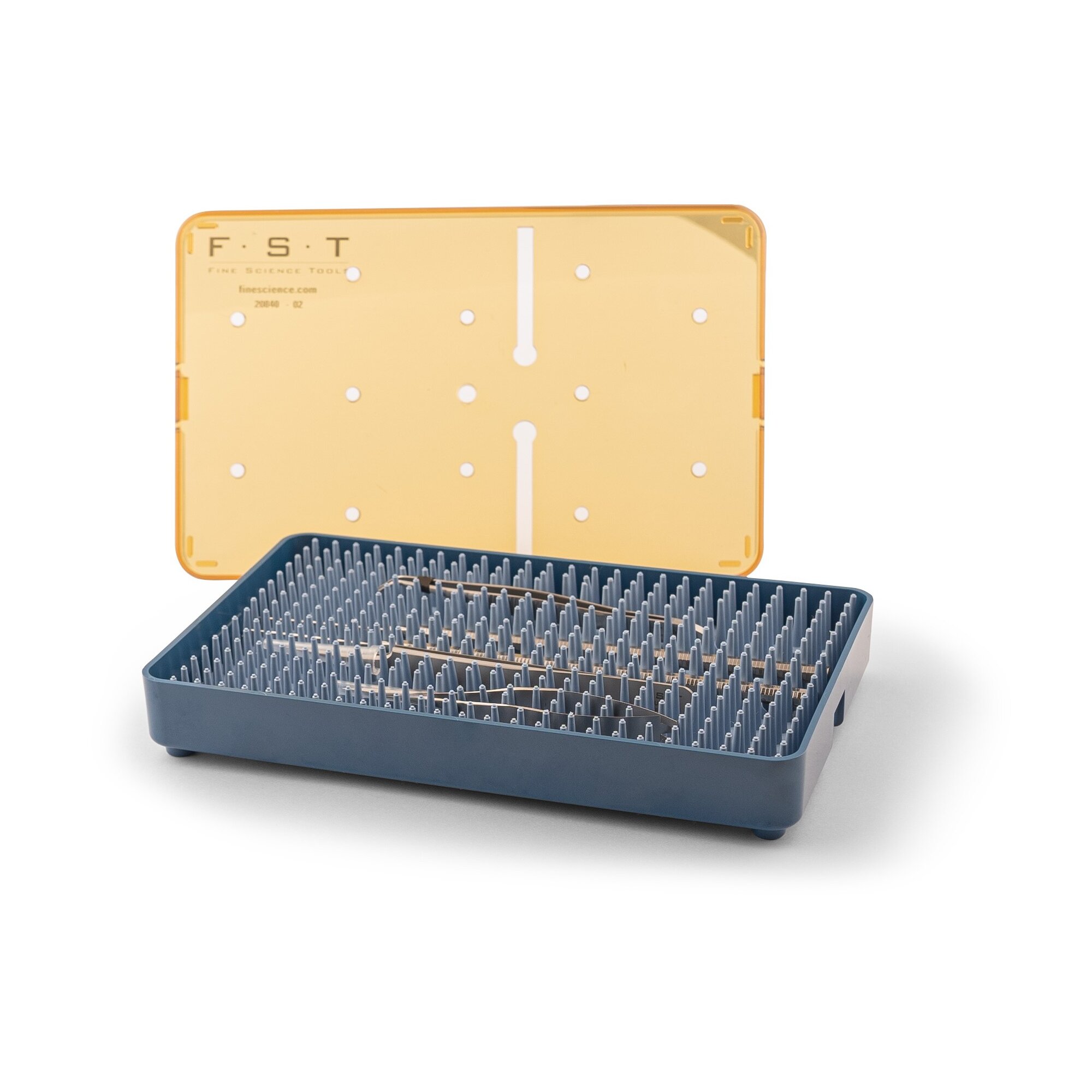 Zebrafish Student Kit | 70004-02