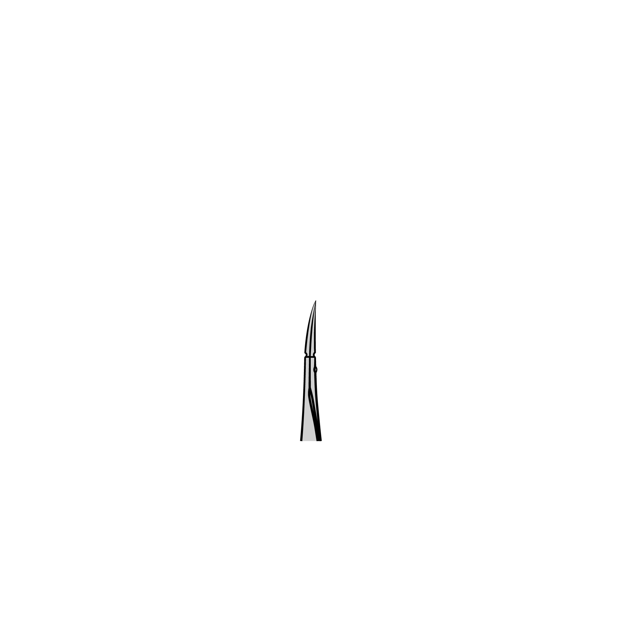 Vannas Spring Scissors - Highly Polished | 15904-08