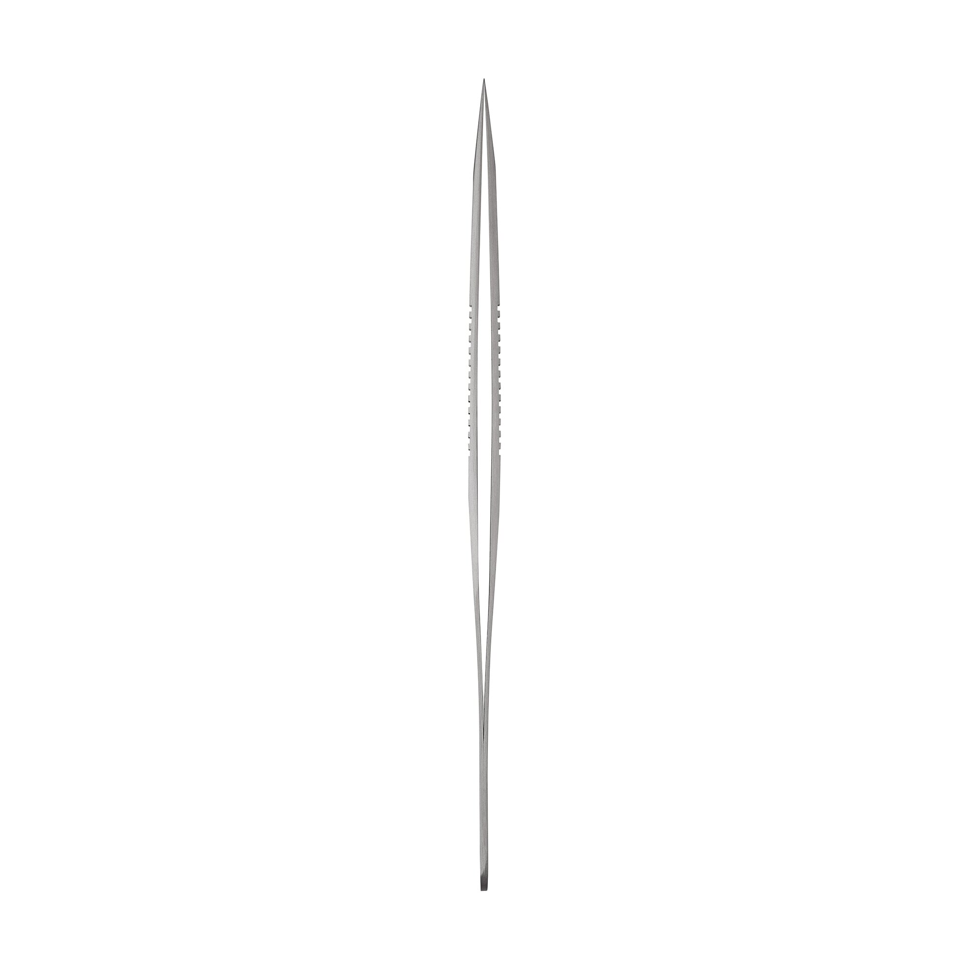 Dumont SS Forceps | 11203-23