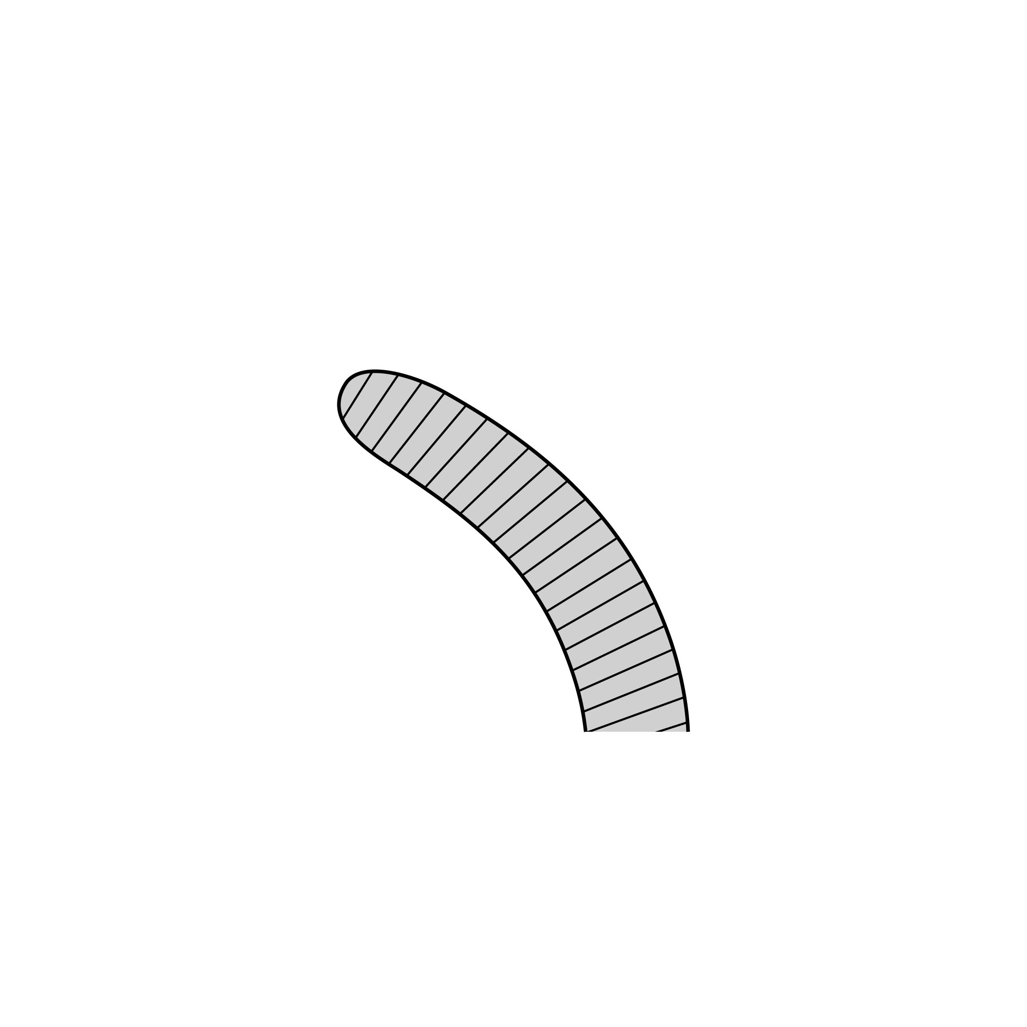 Anatomical Standard Forceps - Curved | 11001-14