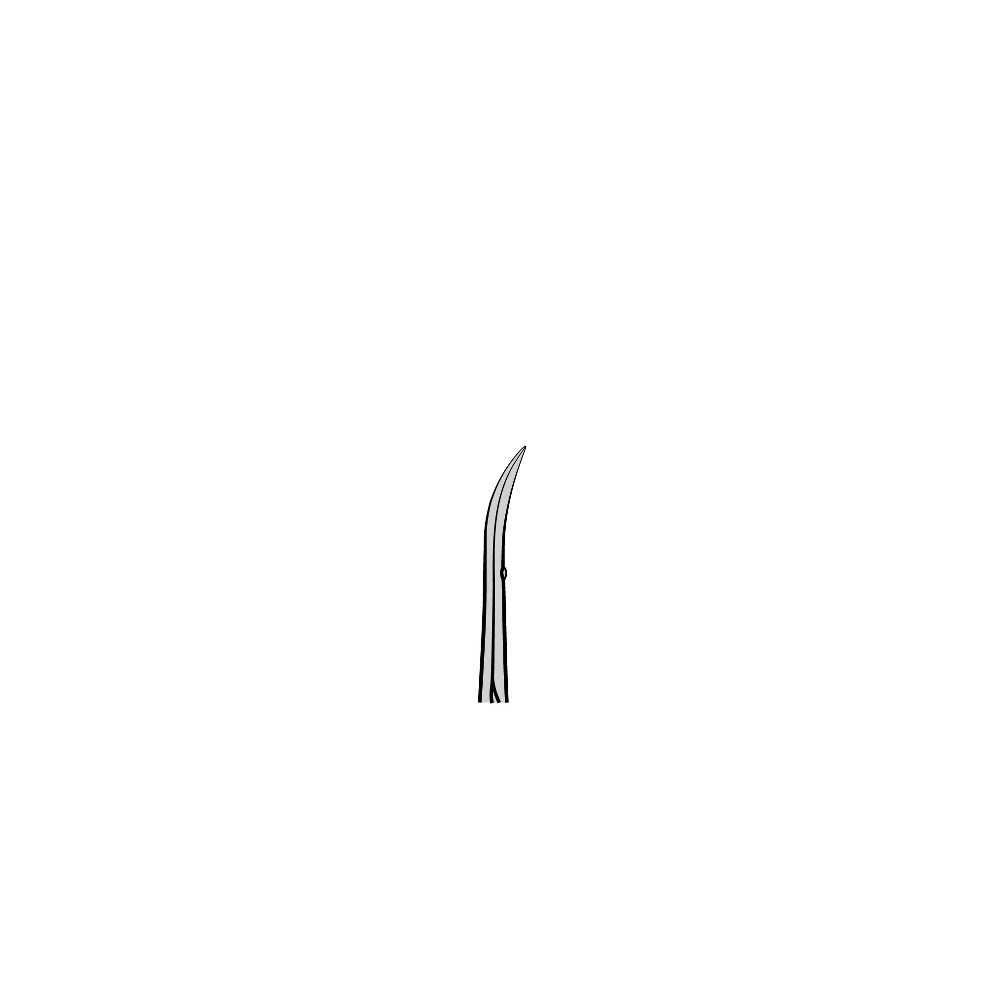 Large Moria Vannas Spring Scissors | 15370-50