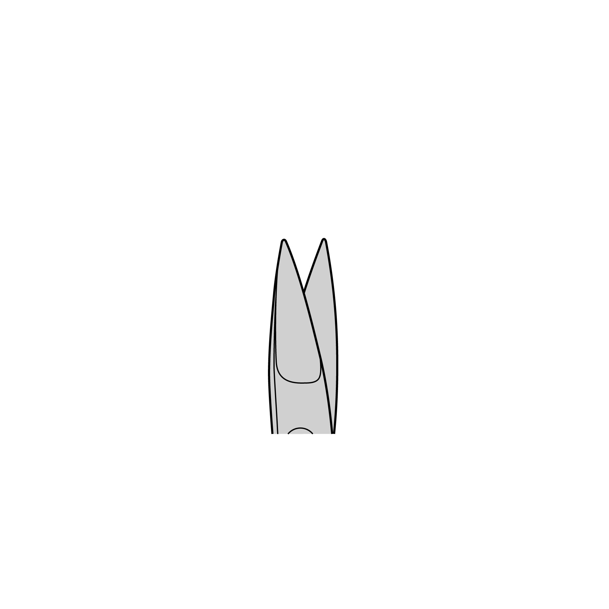 Bone Scissors - Tungsten Carbide | 16030-12