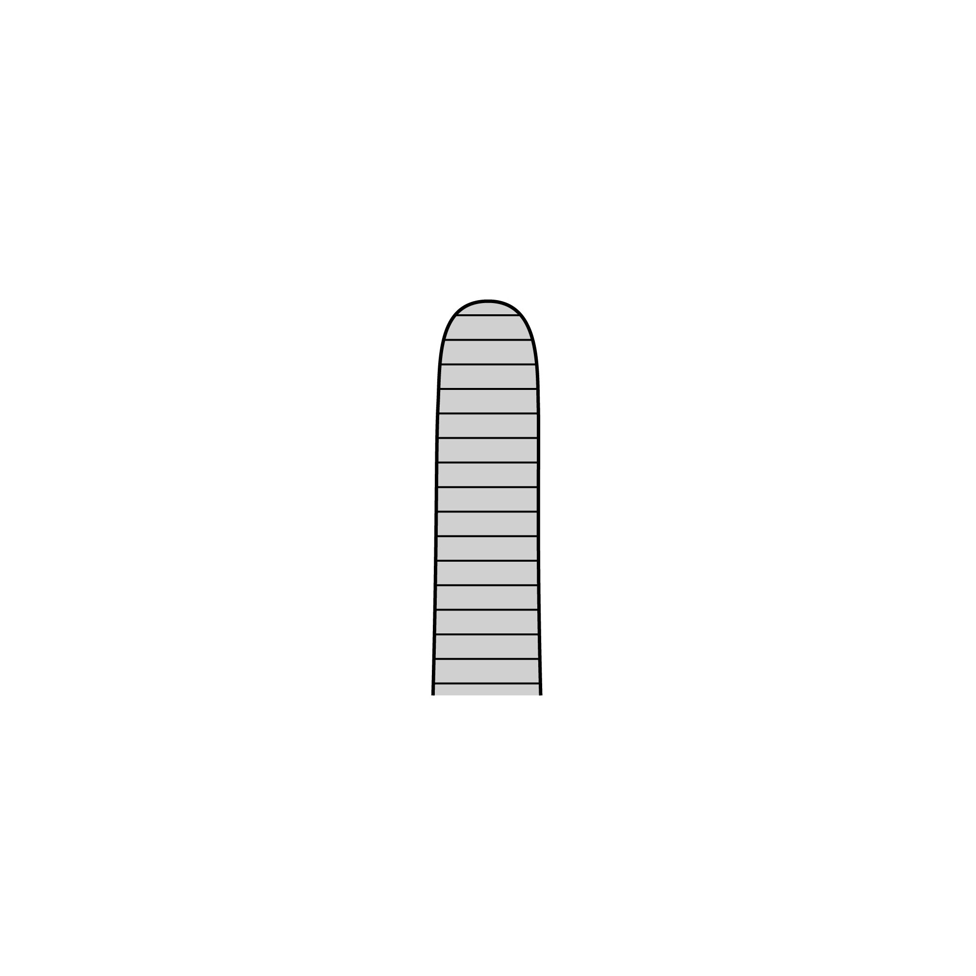 Anatomical Standard Forceps - Straight | 11000-20