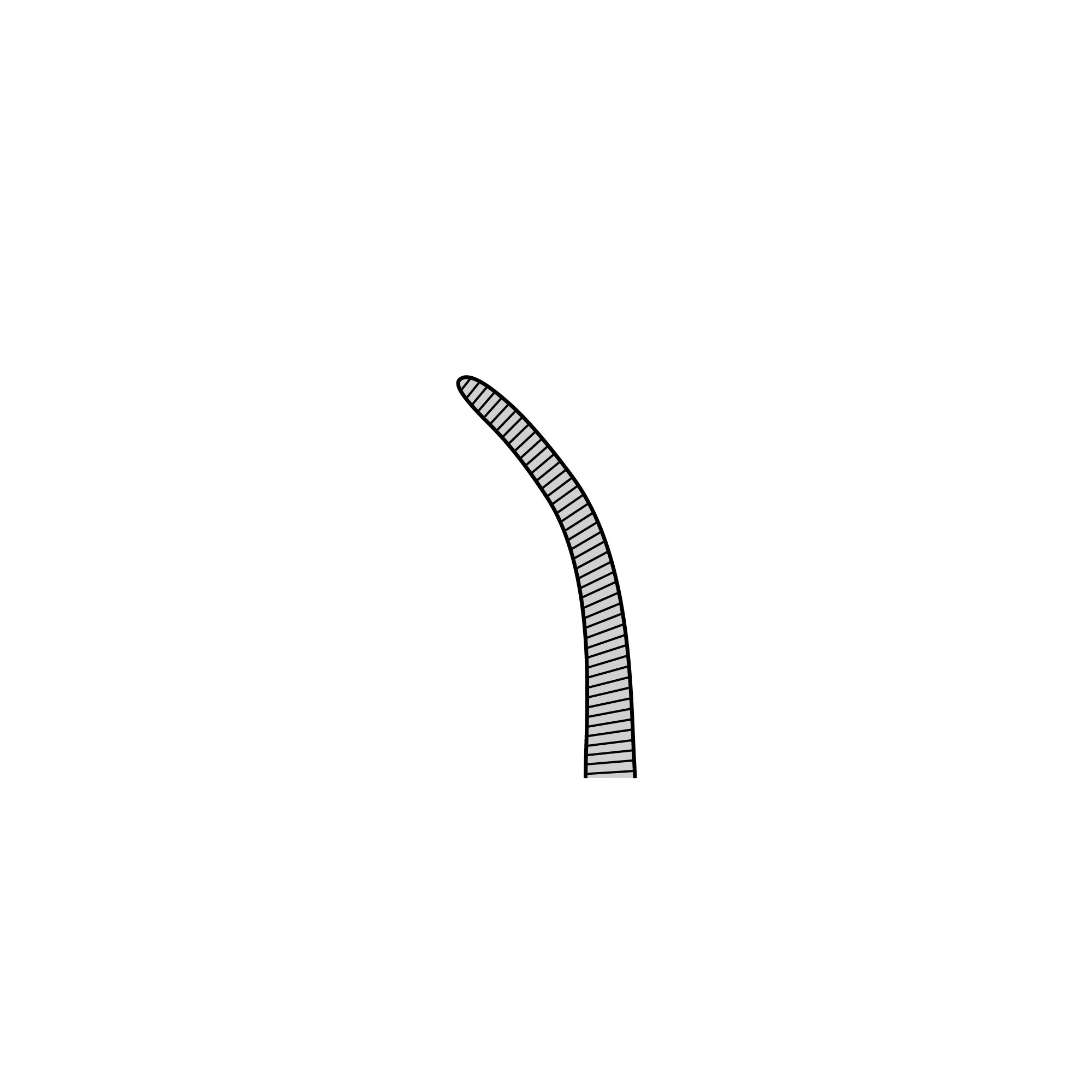 Student Crile-Rankin Hemostat | 91305-16
