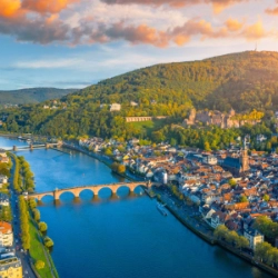 1993 - FST opens a busin...