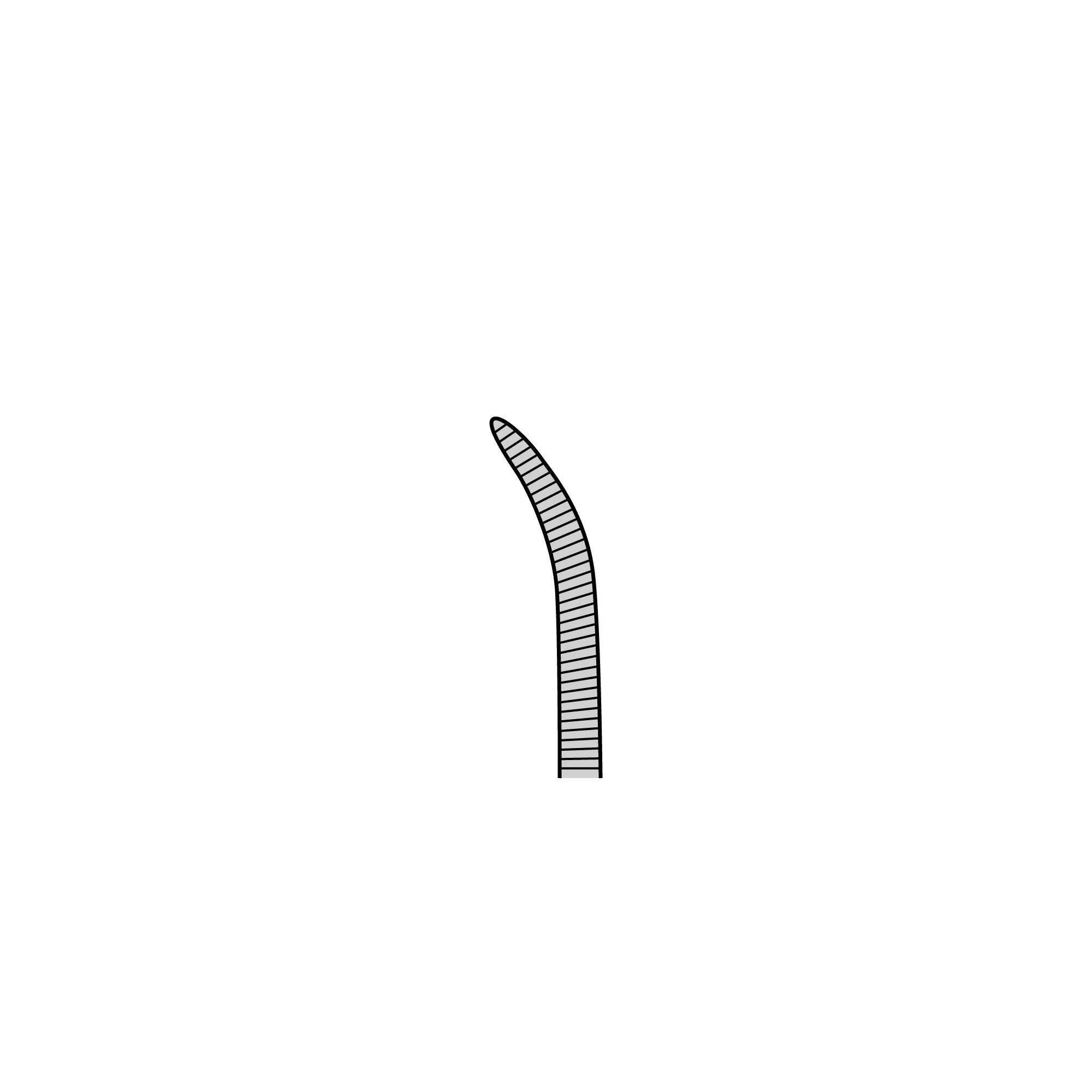 Mosquito Hemostat | 13009-12