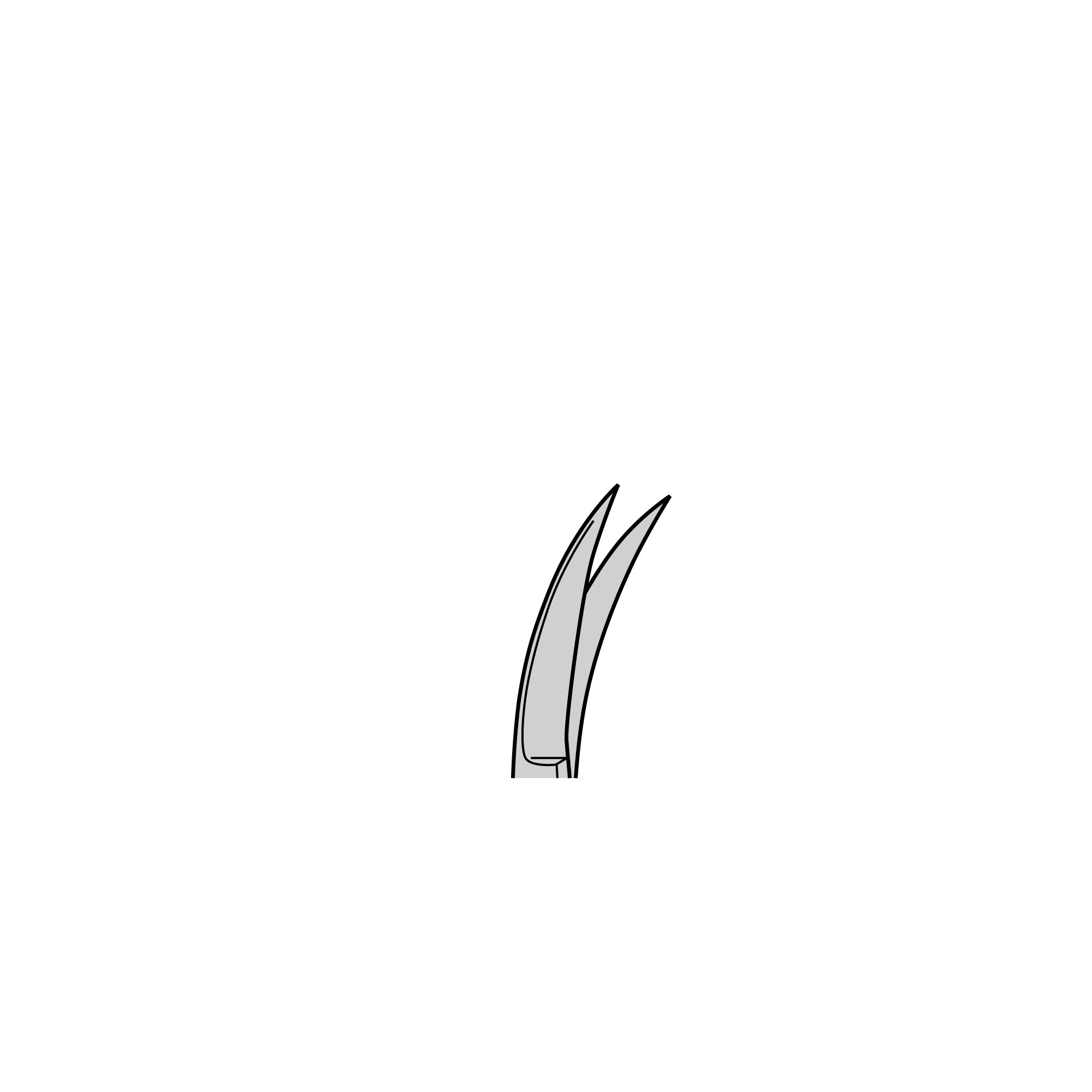 Iris Scissors | 14062-10