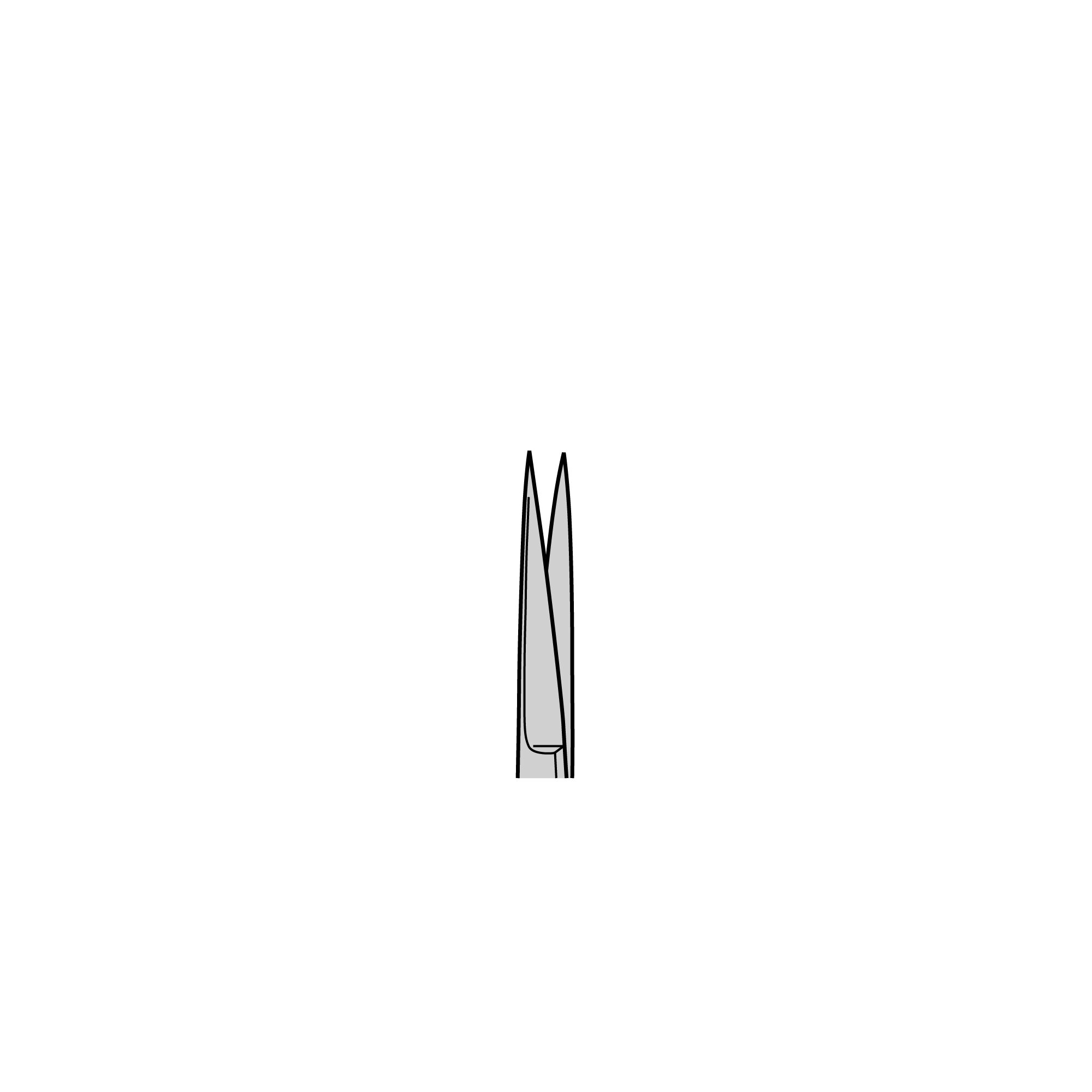 Student Iris Scissors | 91460-11