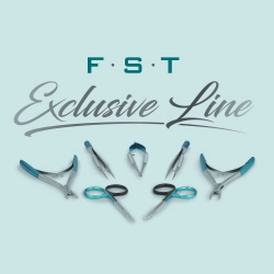 2024 - Launch of our FST...