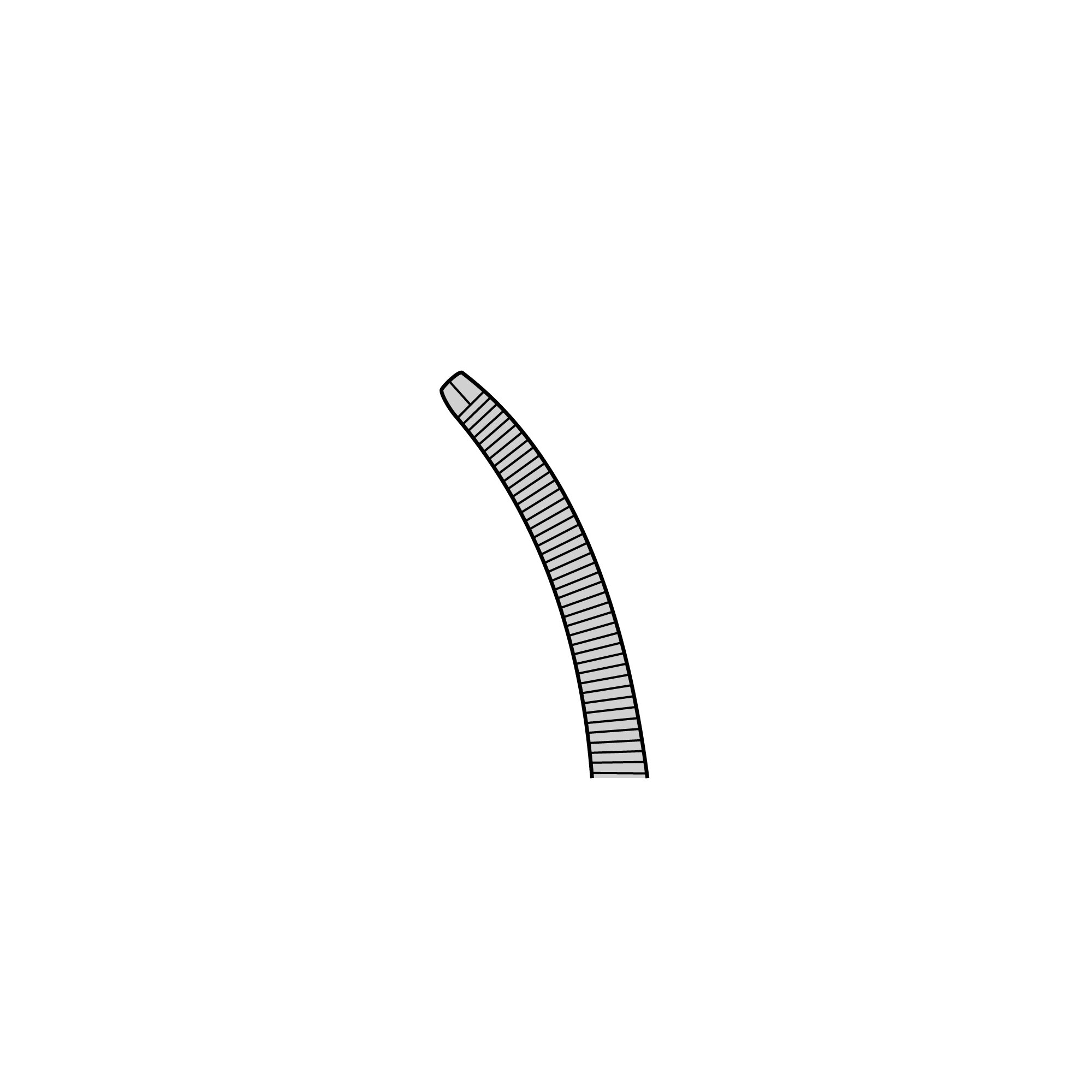 Student Ochsner-Kocher Hemostat | 91329-16