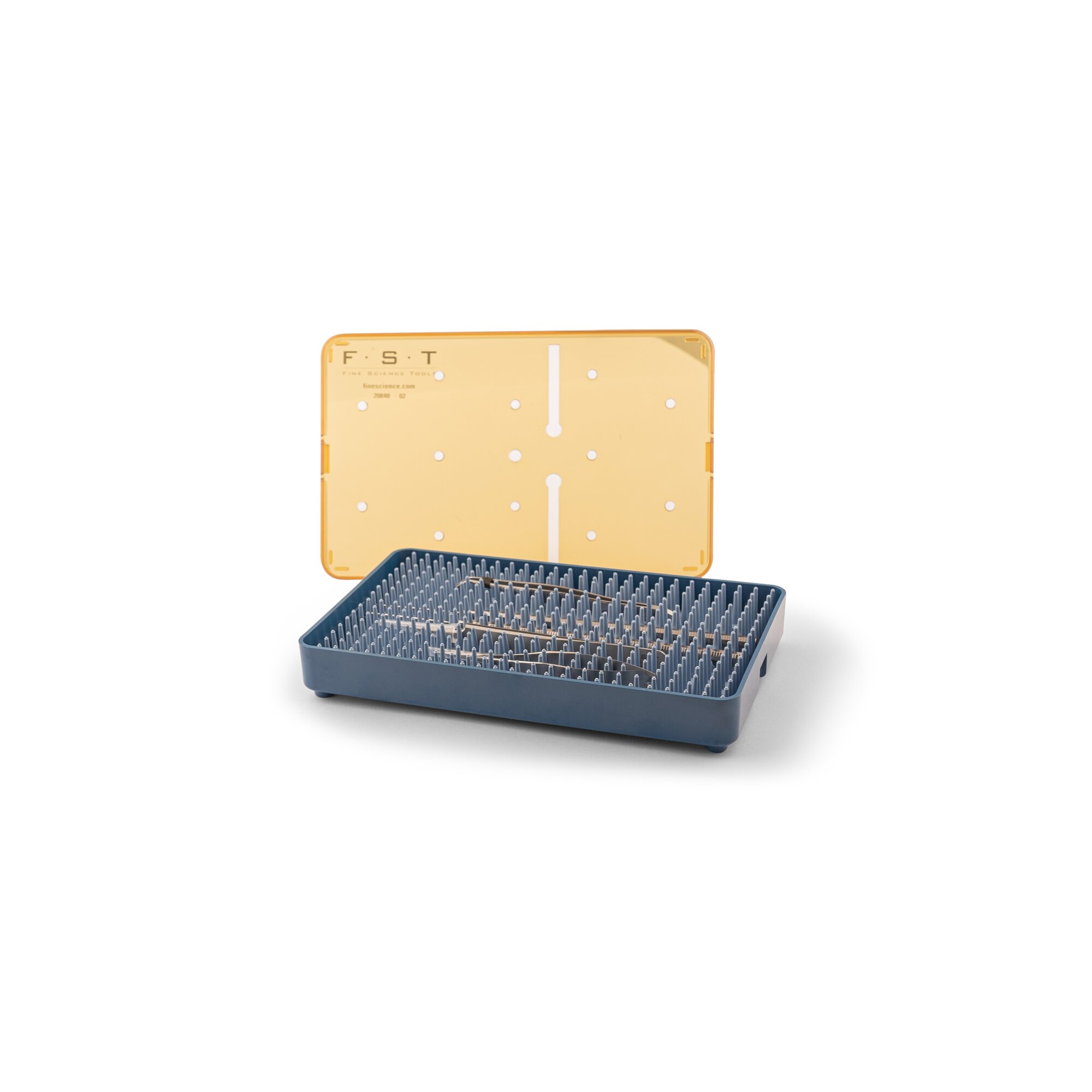 Zebrafish Student Kit | 70004-02