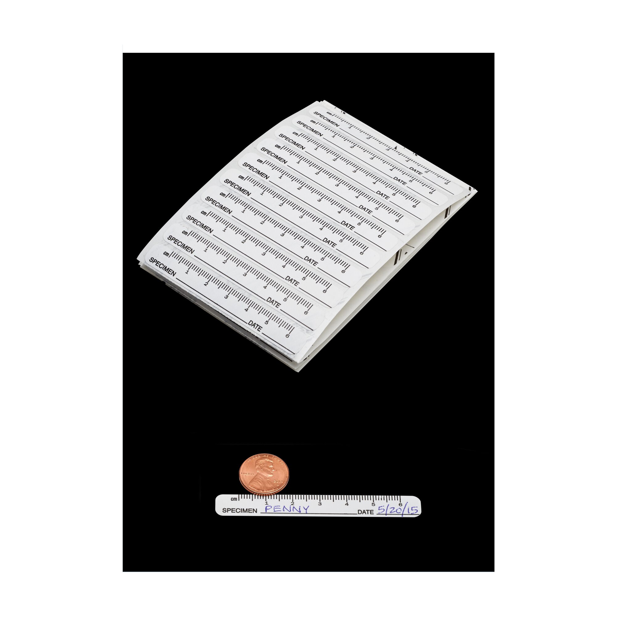 Ruler Label | 29027-00