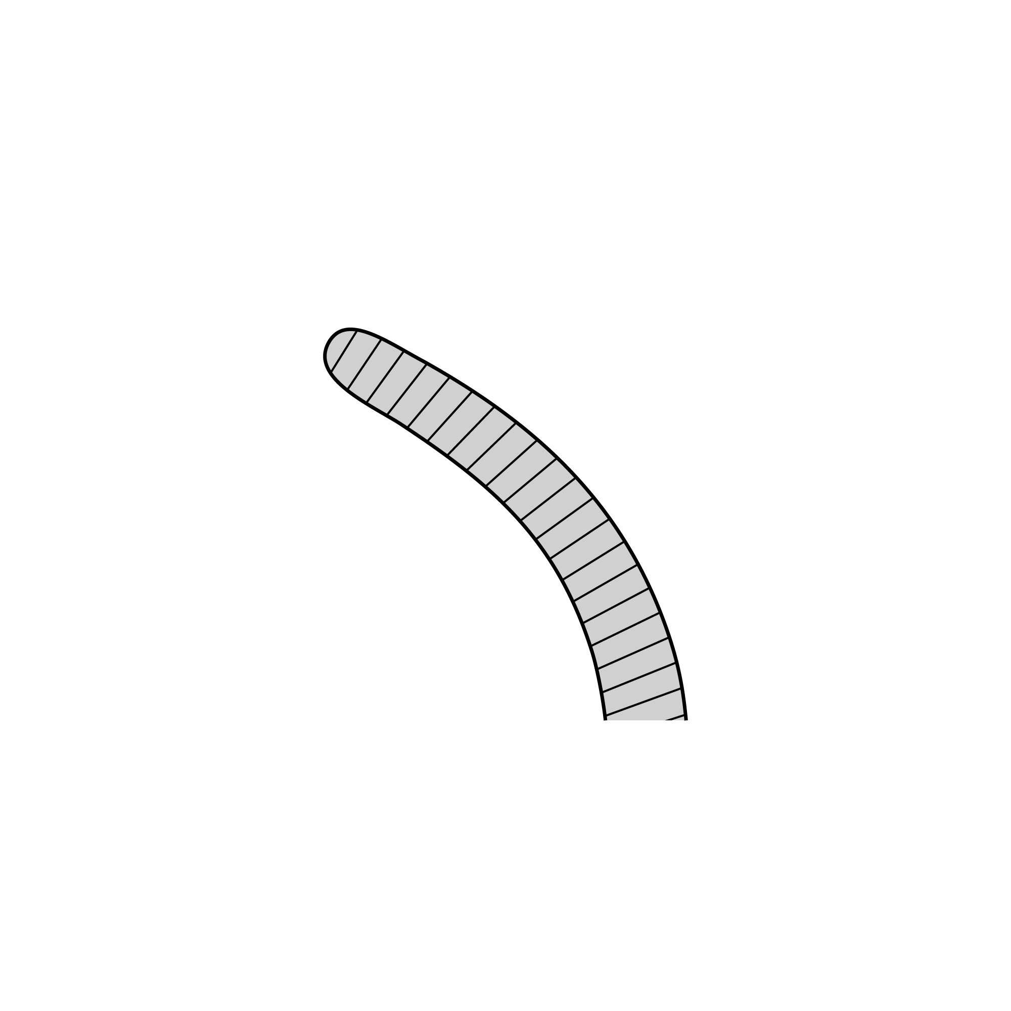 Anatomical Narrow Forceps - Curved | 11003-18