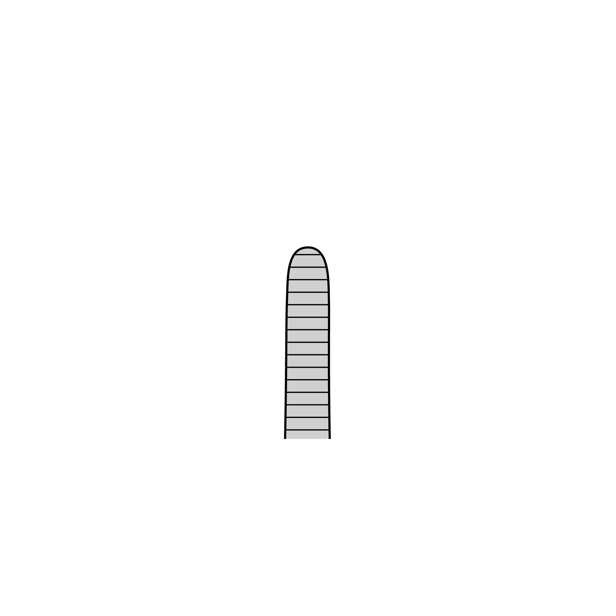 Anatomical Standard Forceps - Straight | 11000-12