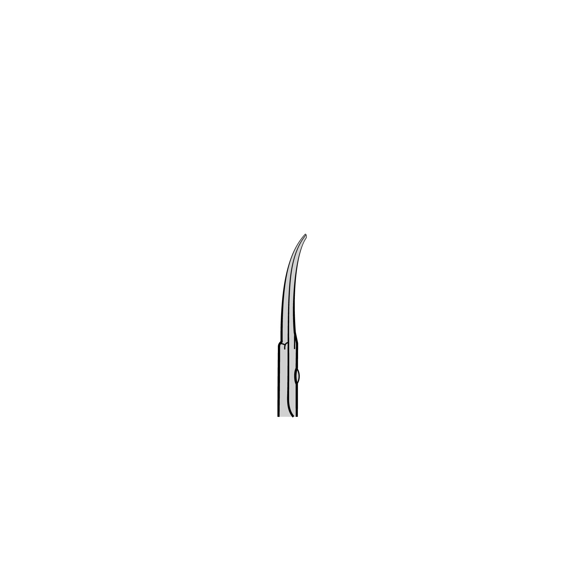 Noyes Spring Scissors | 15011-12