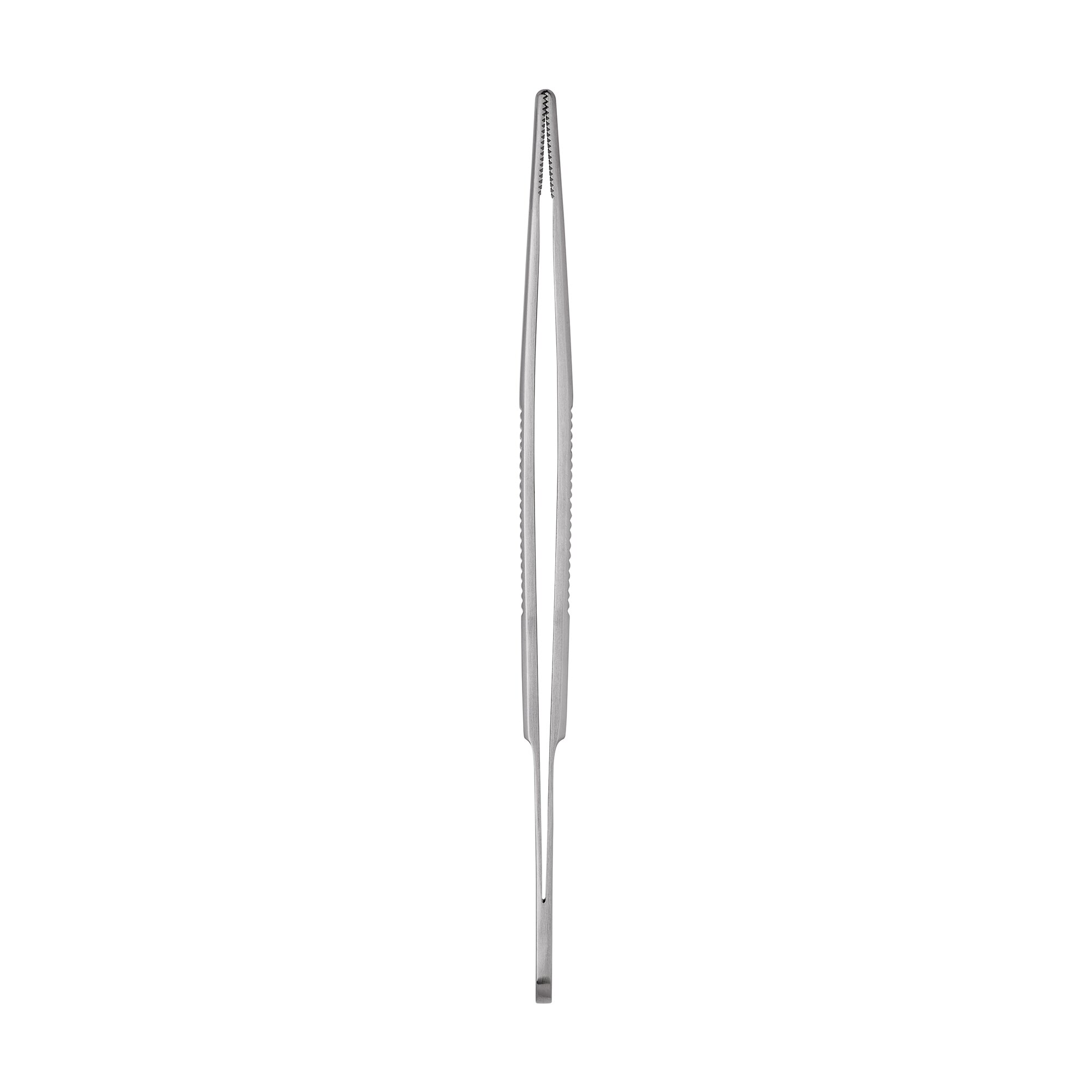Anatomical Standard Forceps - Straight | 11000-13