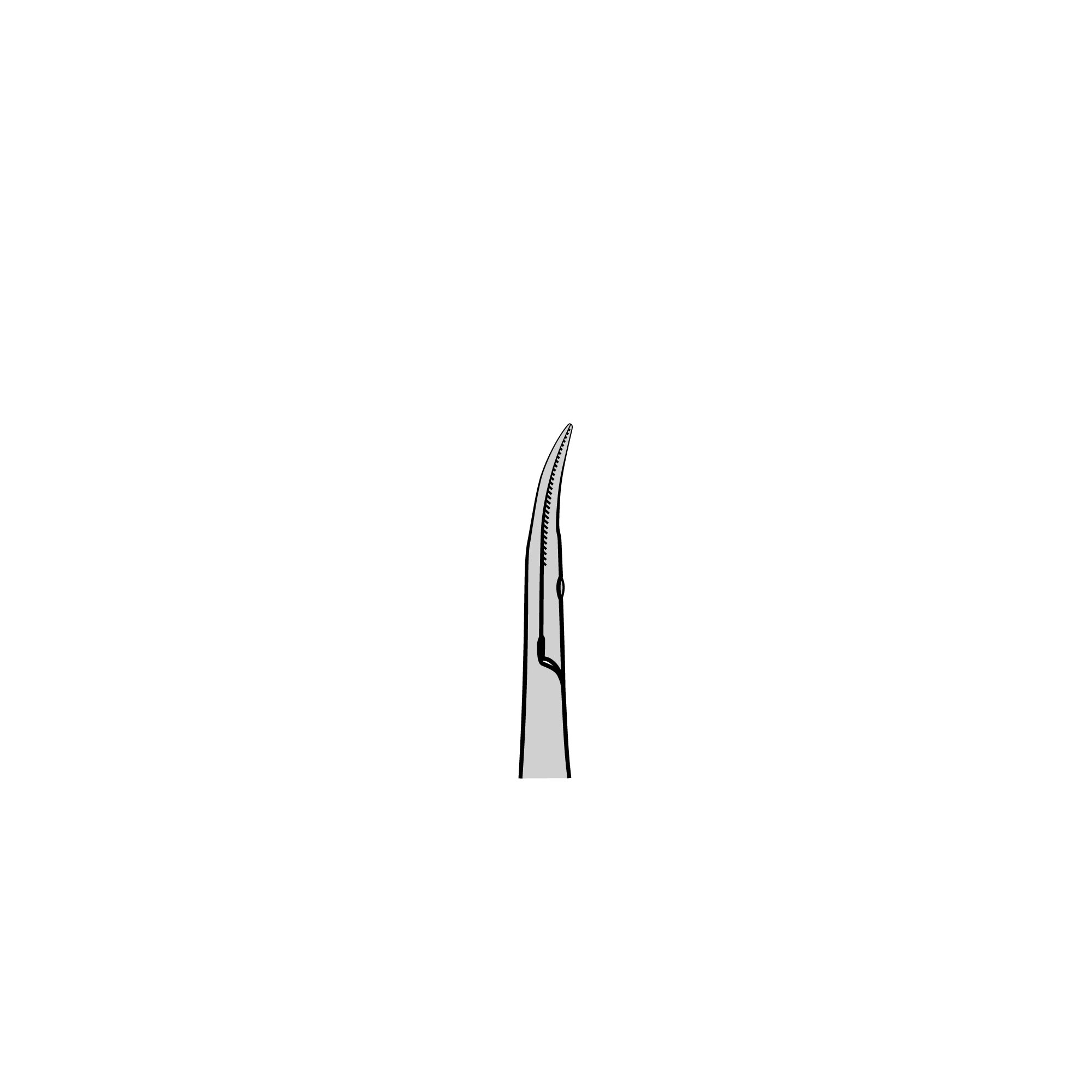 Micro 2000 Spring Scissors - ToughCut® | 15123-12